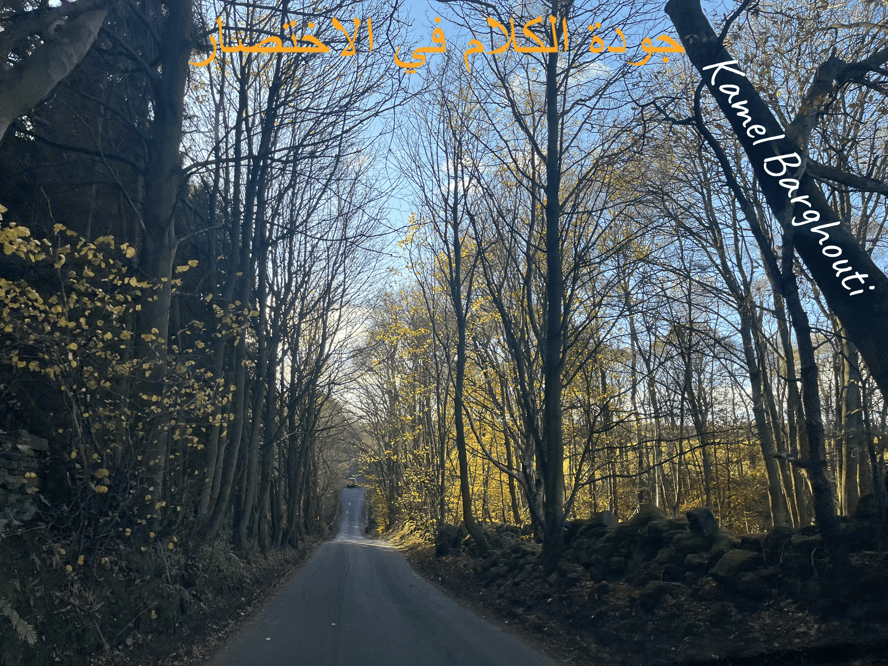 أمثال محلية – اقتباس 22