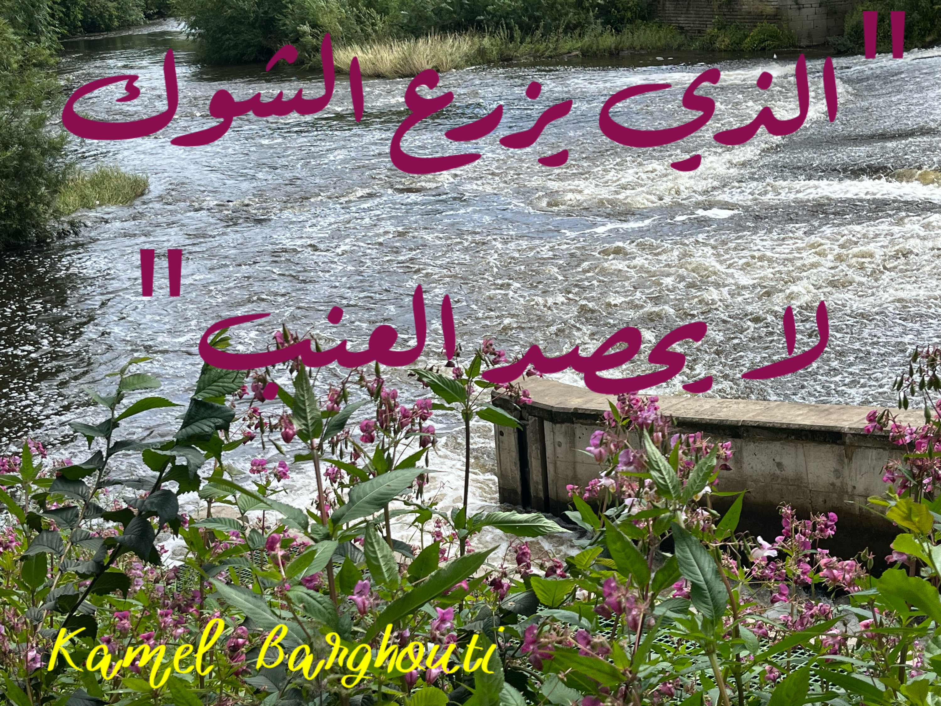 أمثال محلية – اقتباس 20