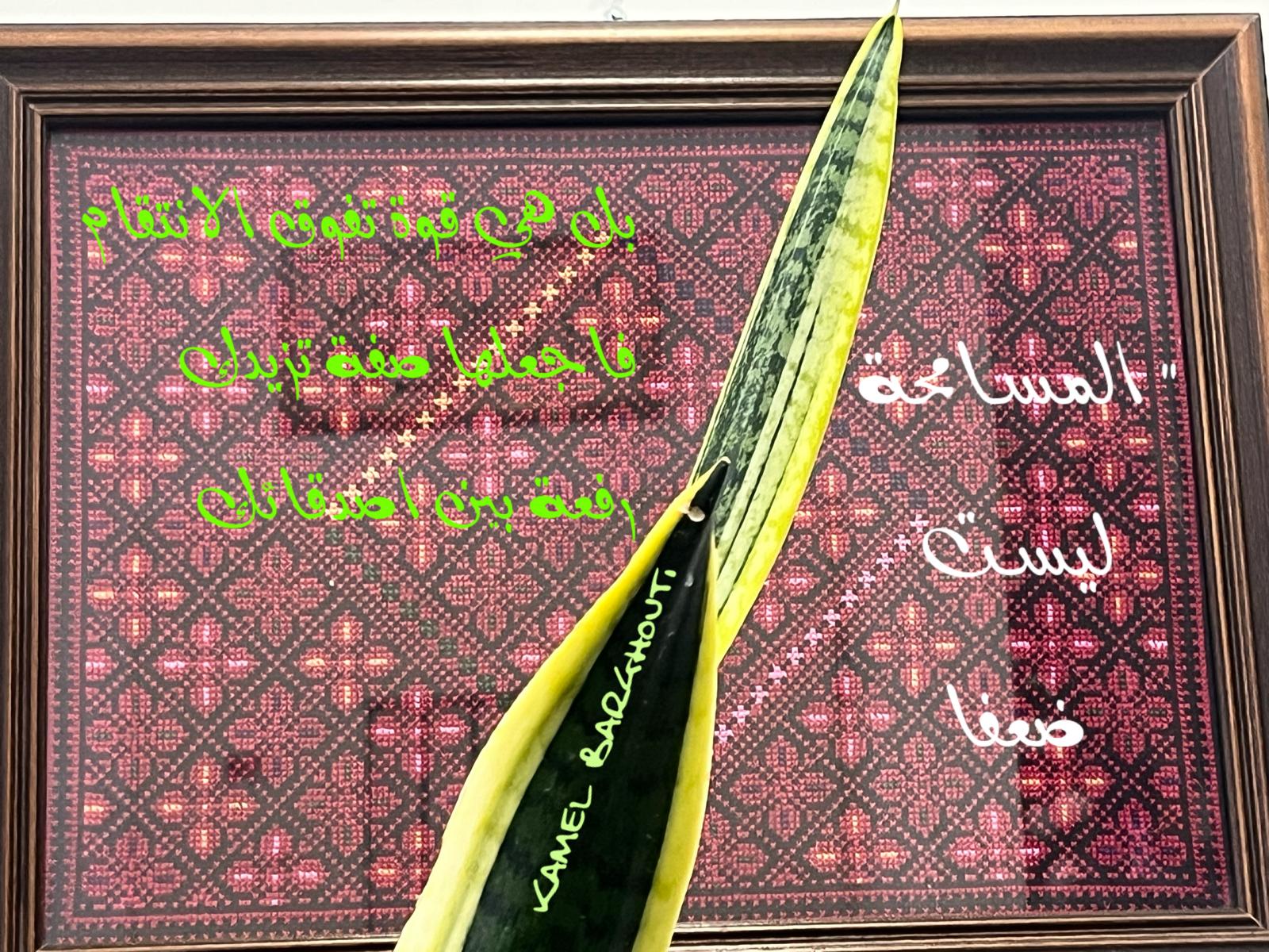 تسامح – اقتباس 16
