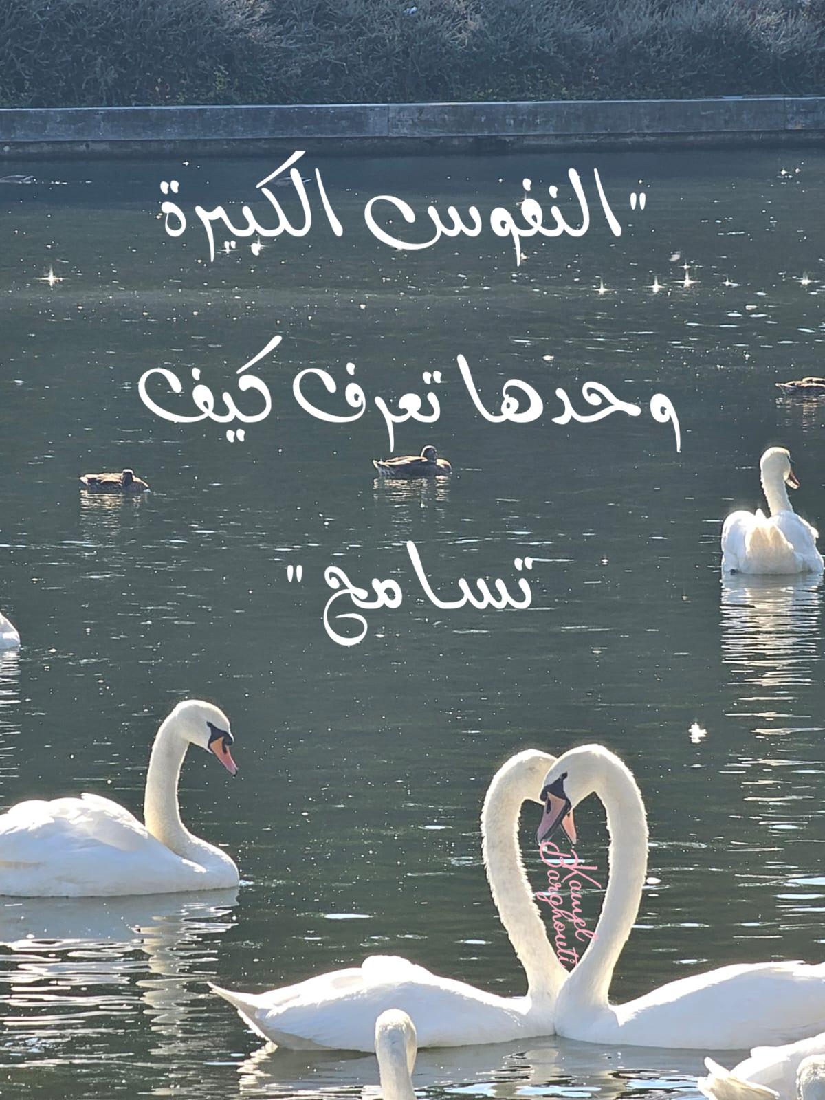 تسامح – اقتباس 8