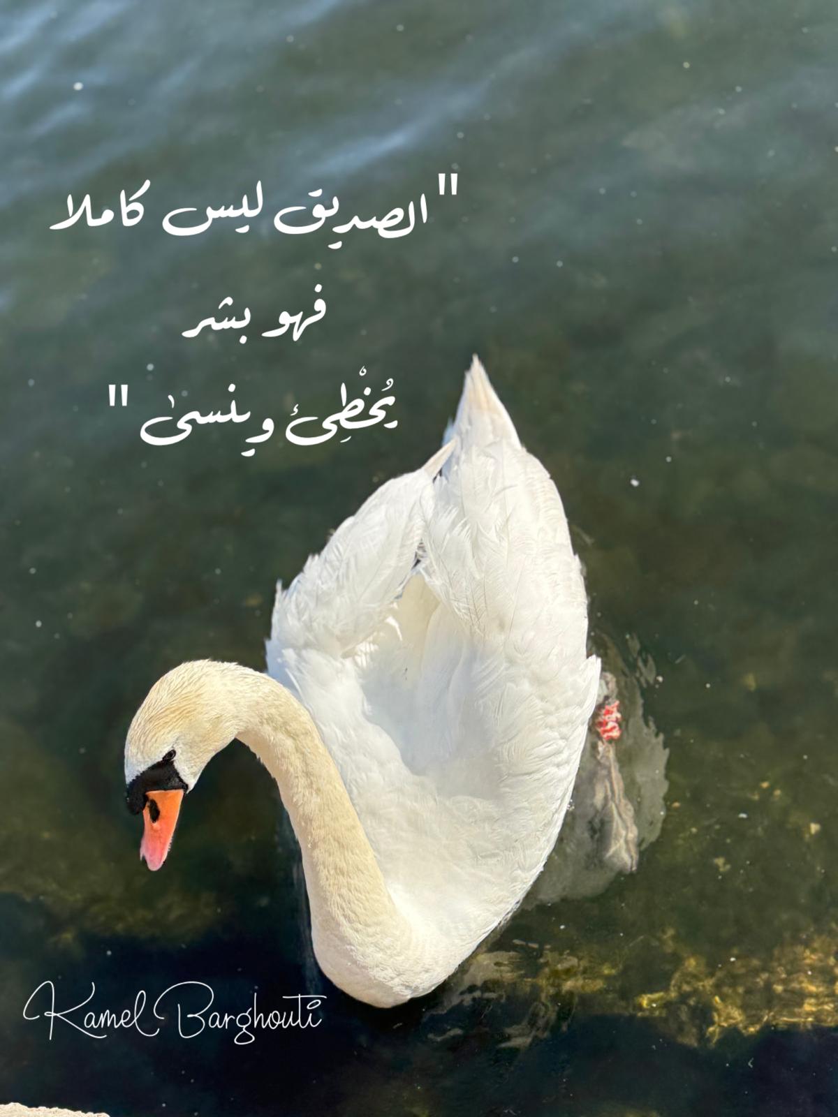 تسامح – اقتباس 4