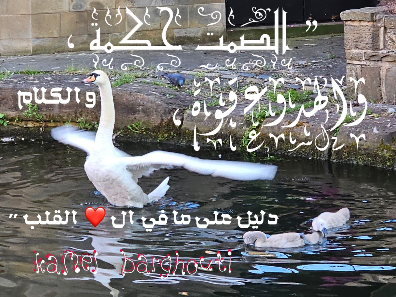 العزلة، الصمت، والتأمل – اقتباس 55