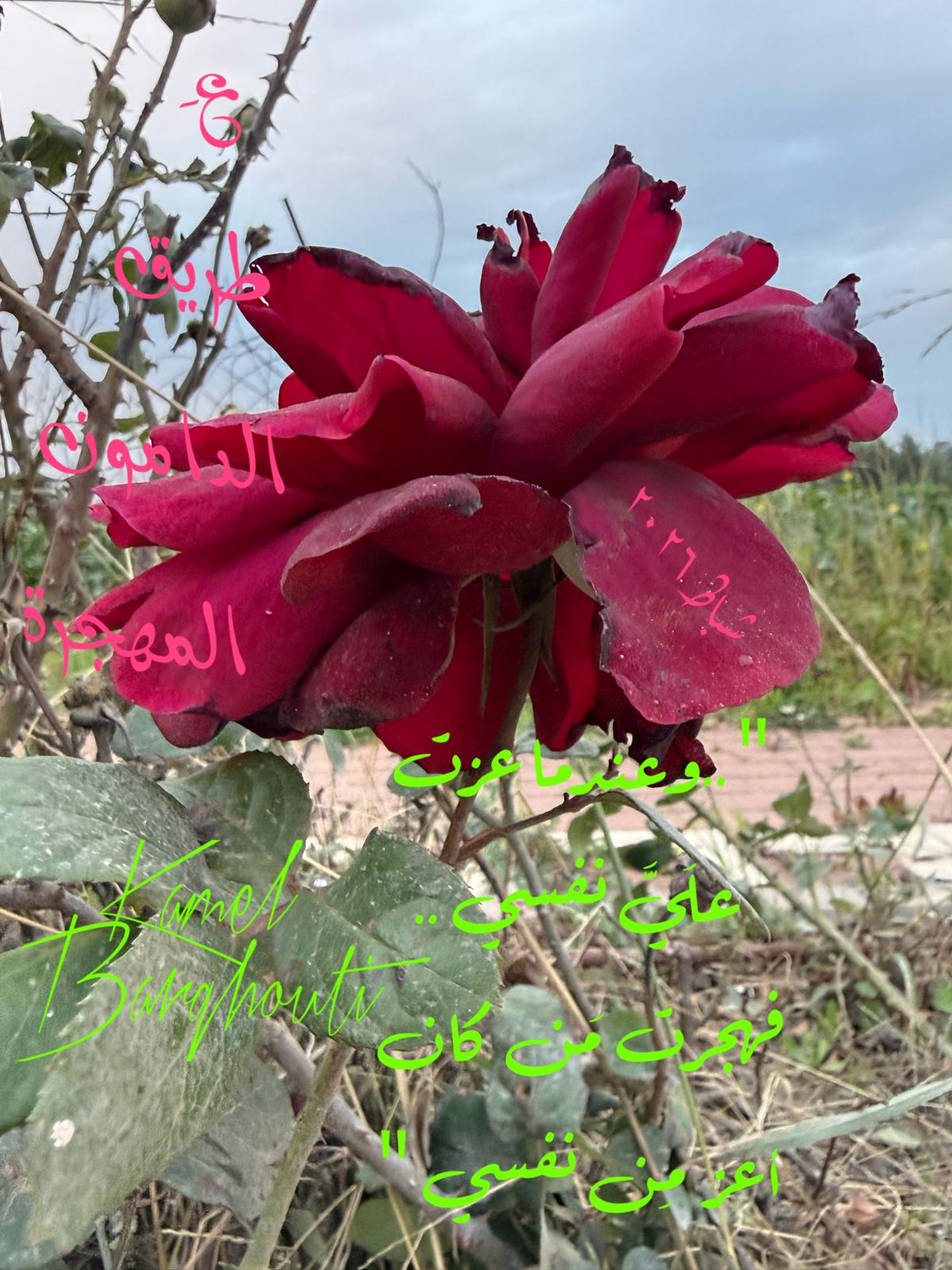 العزلة، الصمت، والتأمل – اقتباس 52