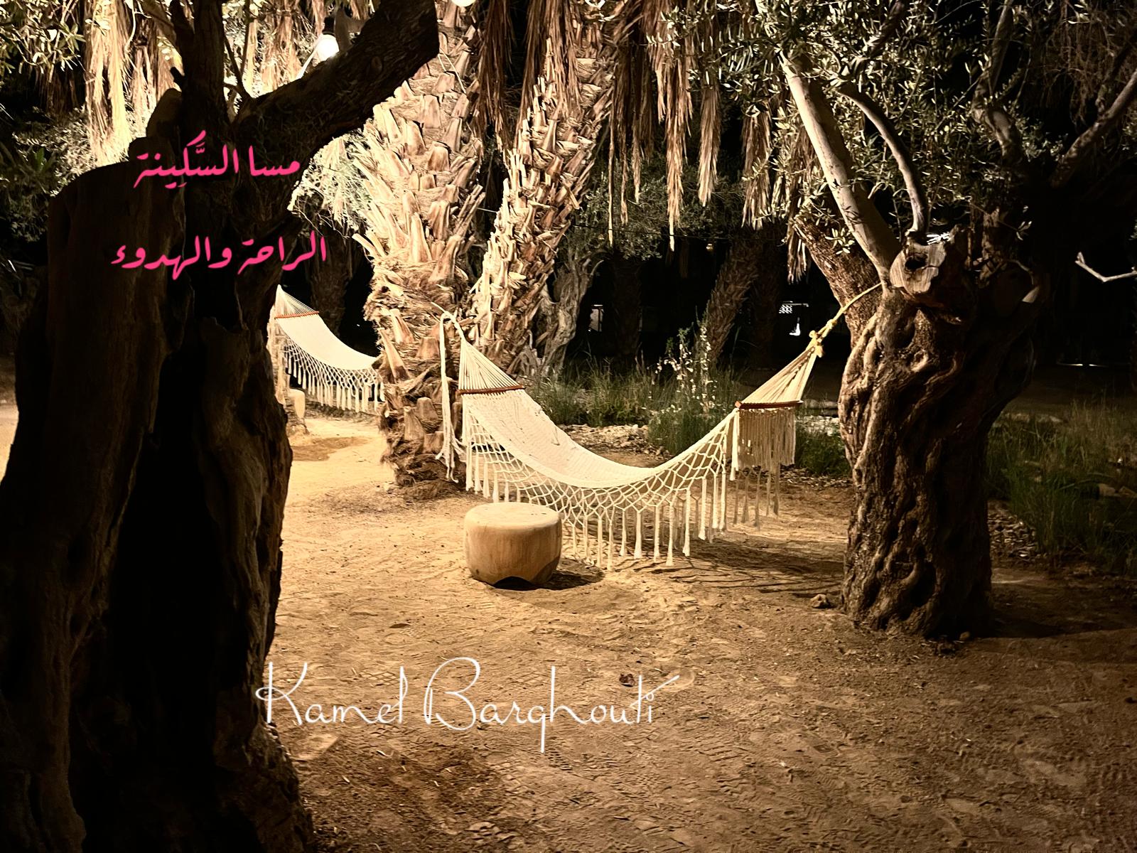 مساء الخير – اقتباس 20
