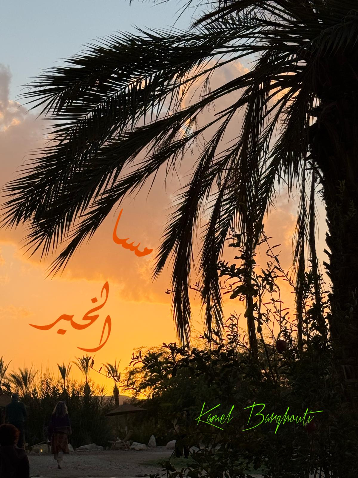 مساء الخير – اقتباس 17