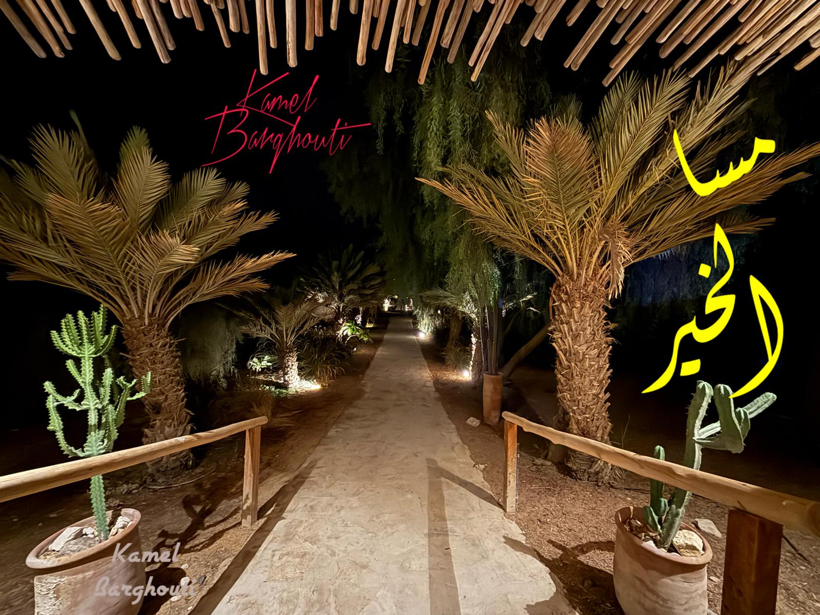 مساء الخير – اقتباس 19