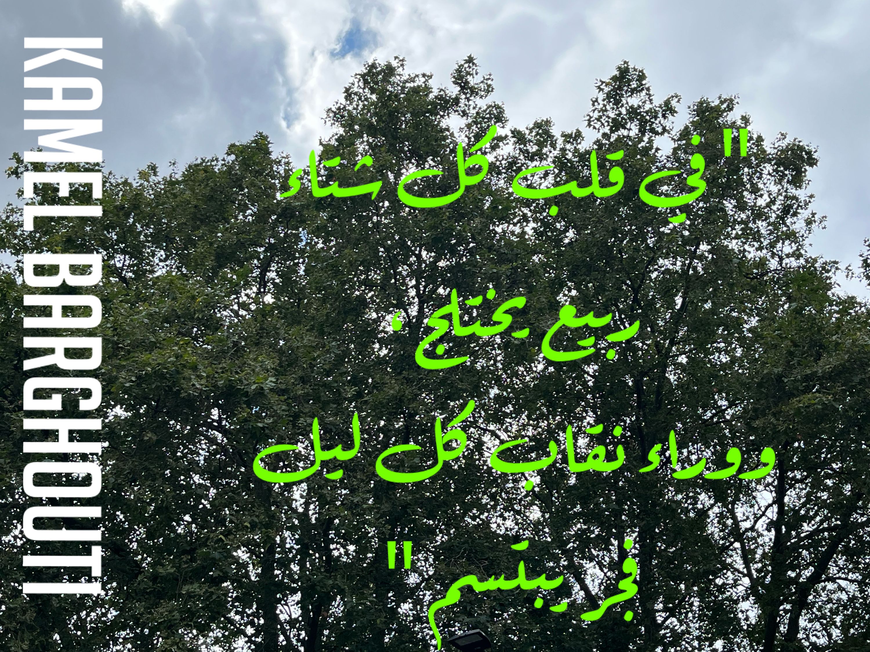 ابتسامة – اقتباس 32