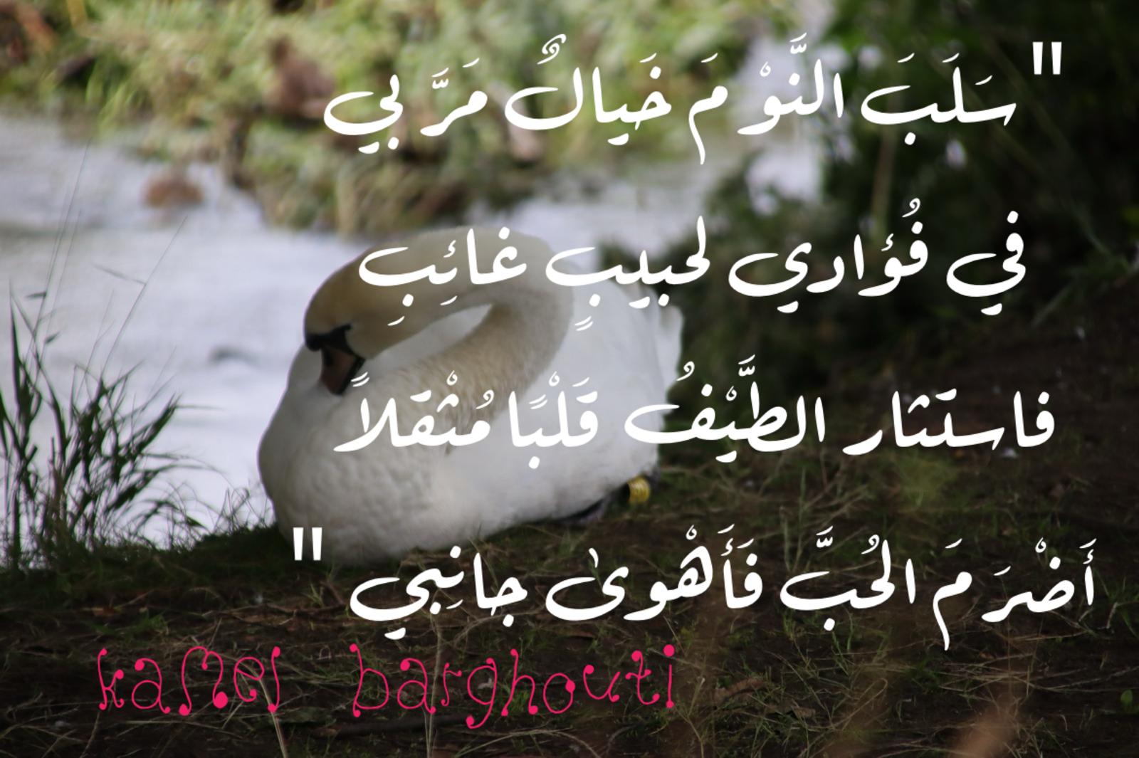 أماكن ولقاءات وأوقات – اقتباس 114