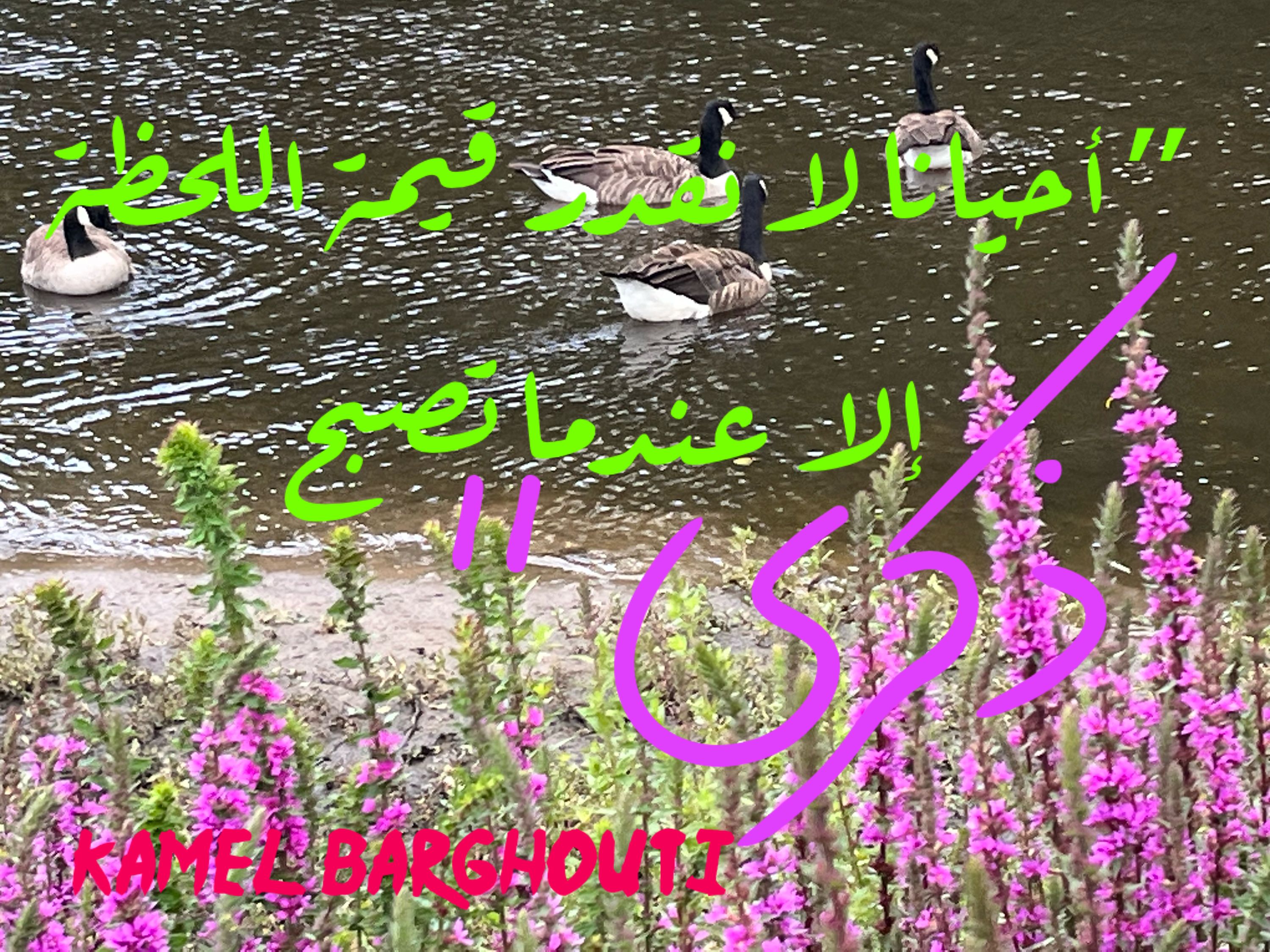 أماكن ولقاءات وأوقات – اقتباس 88