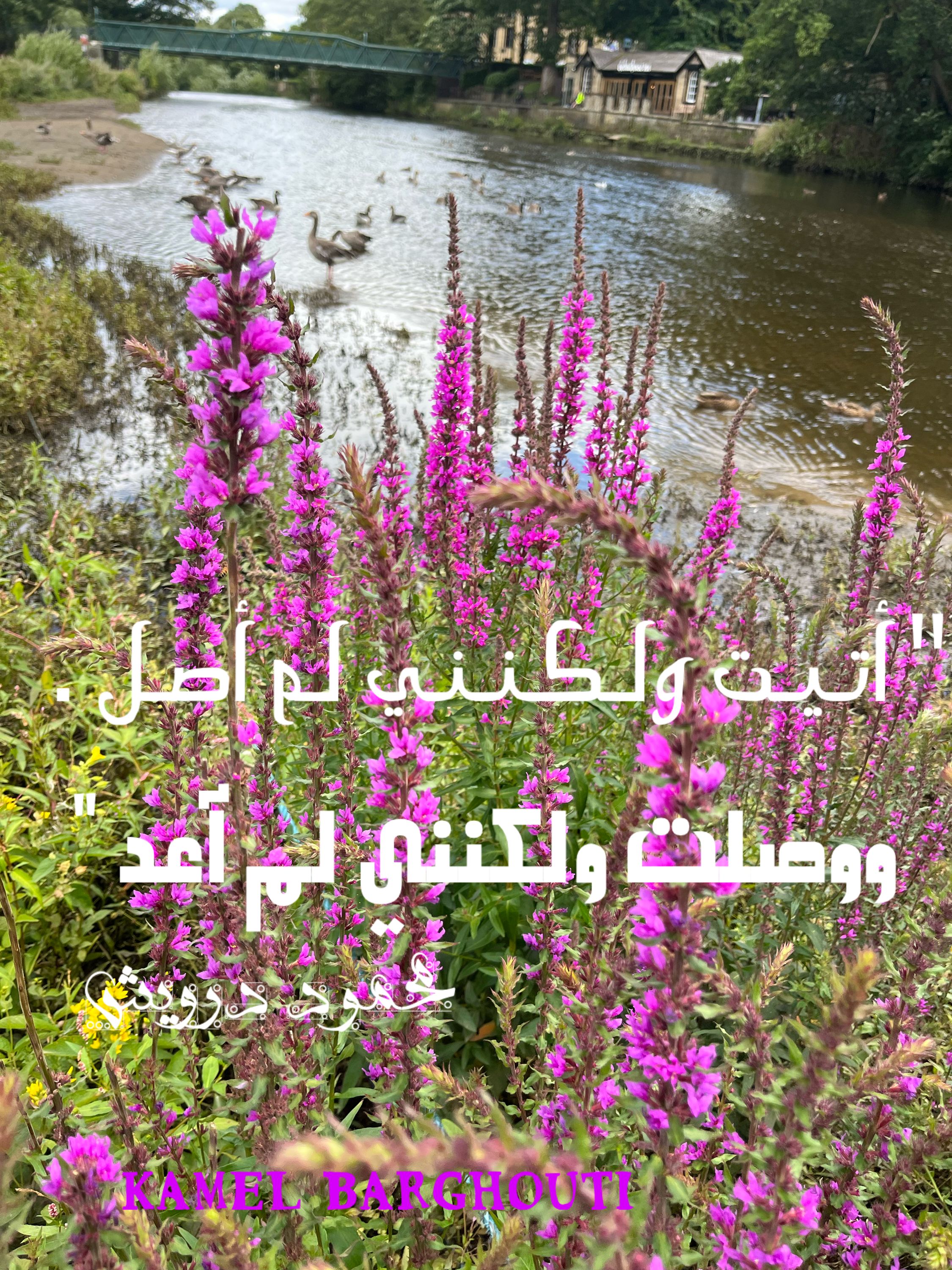 أماكن ولقاءات وأوقات – اقتباس 65
