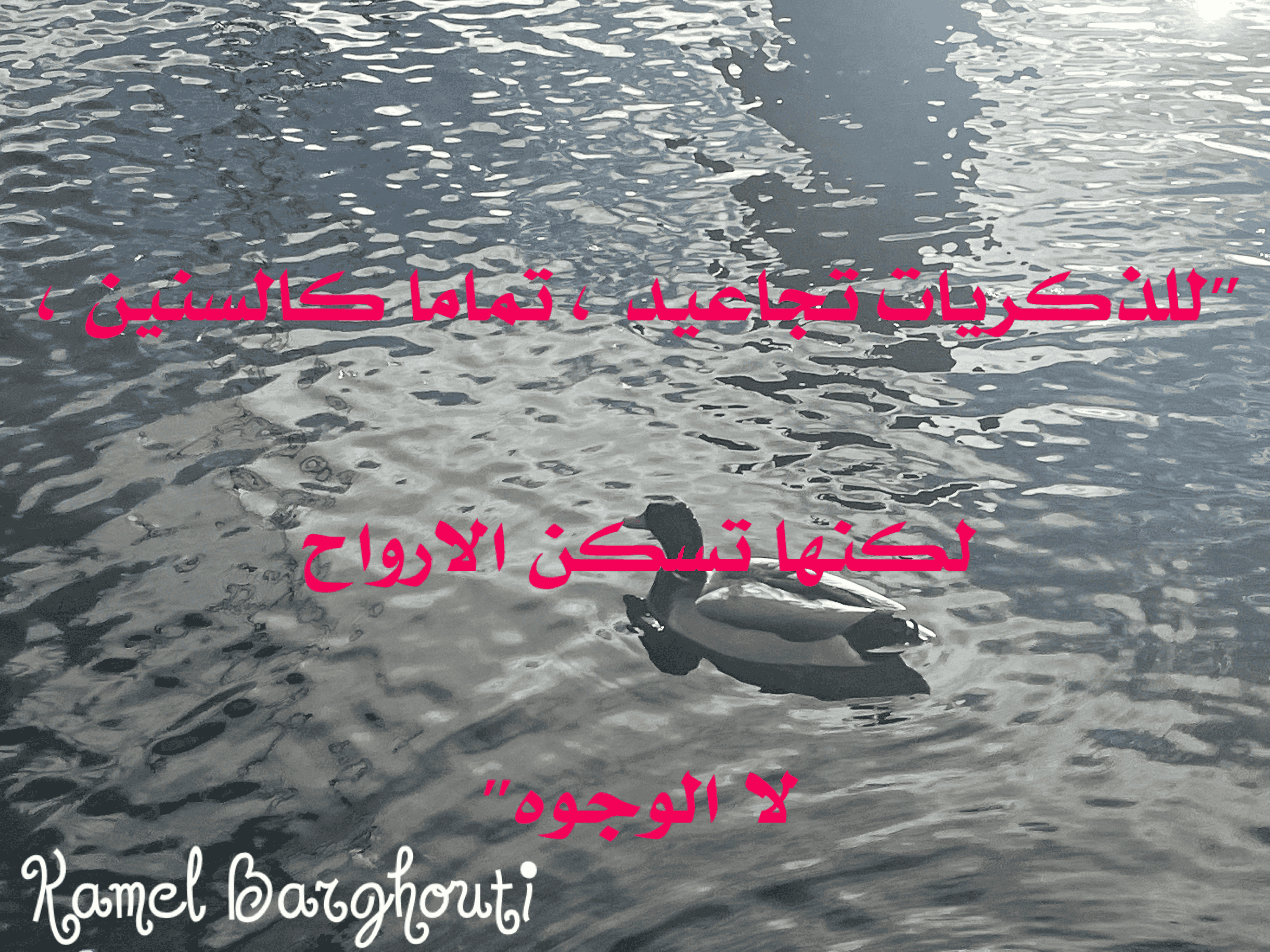 أماكن ولقاءات وأوقات – اقتباس 51