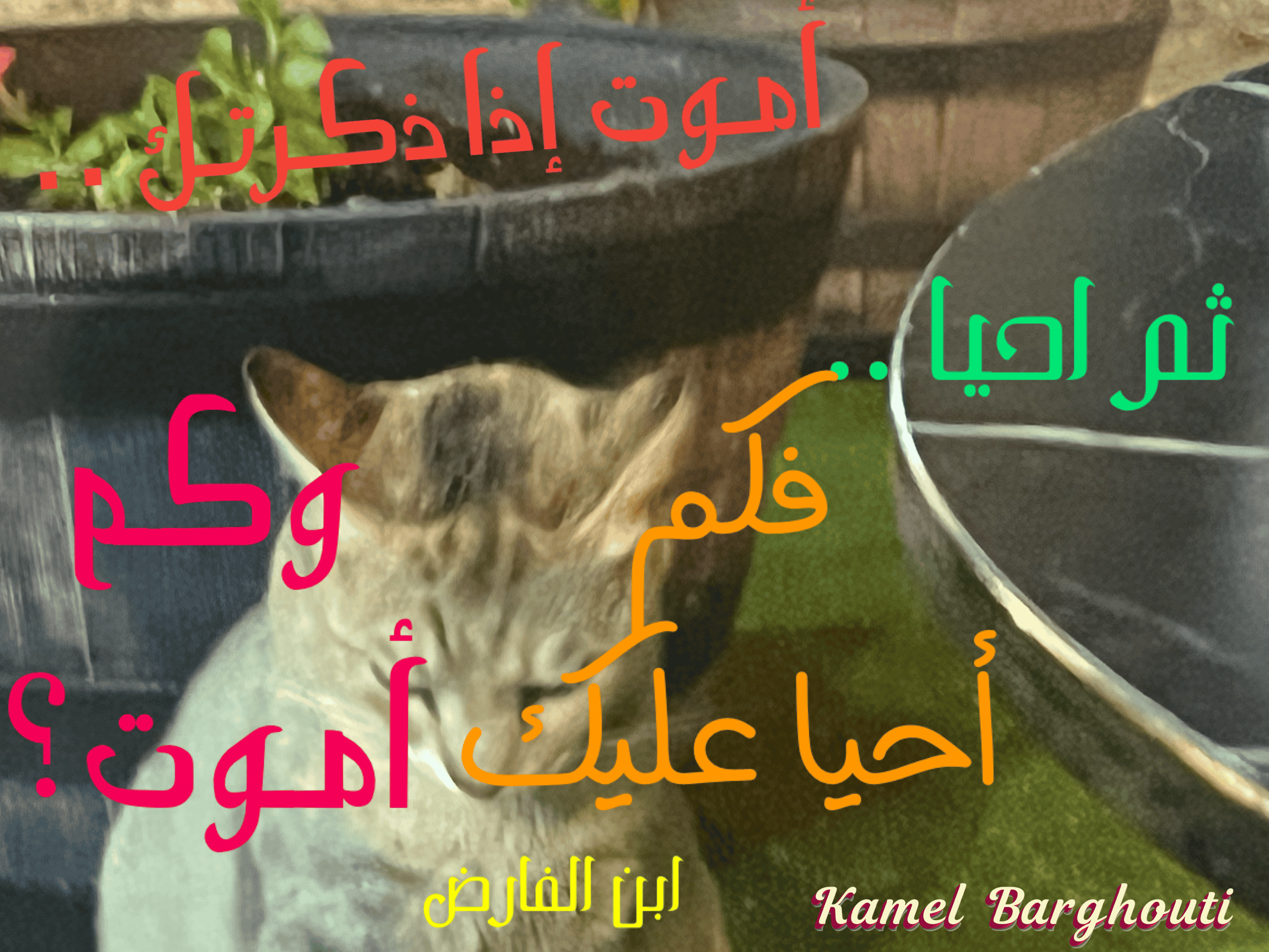 أماكن ولقاءات وأوقات – اقتباس 46