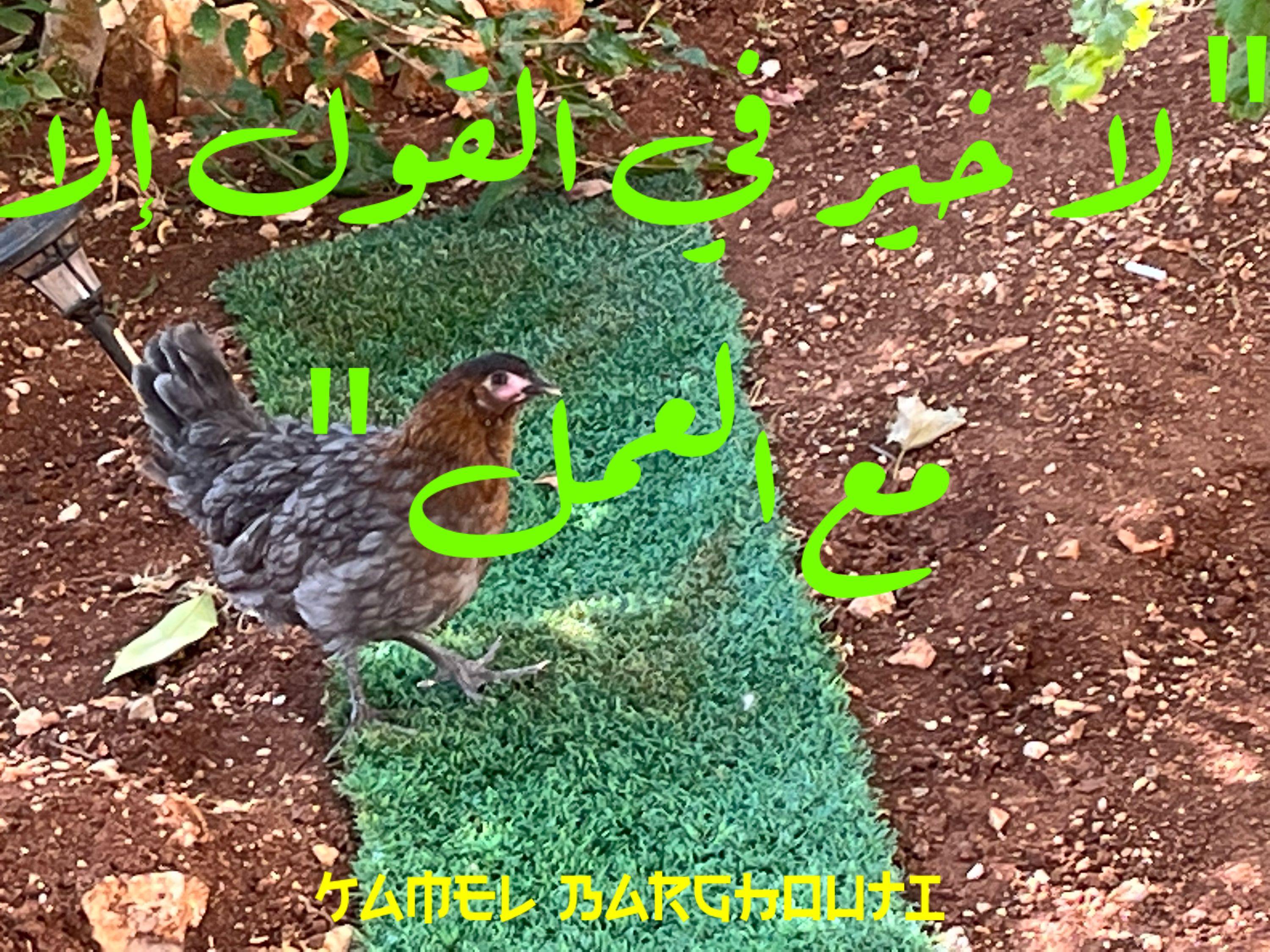 علم وعمل – اقتباس 27