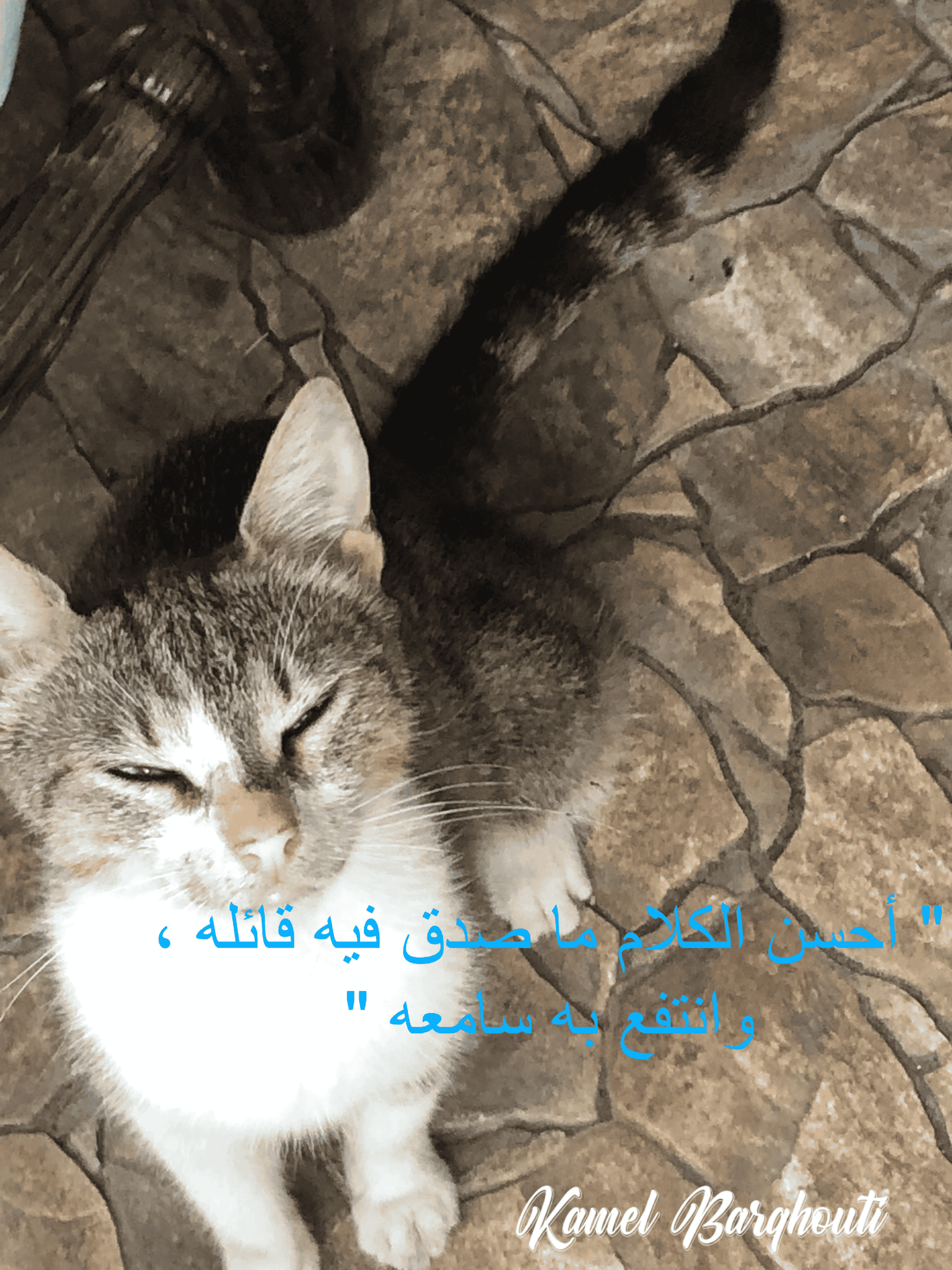 علم وعمل – اقتباس 11
