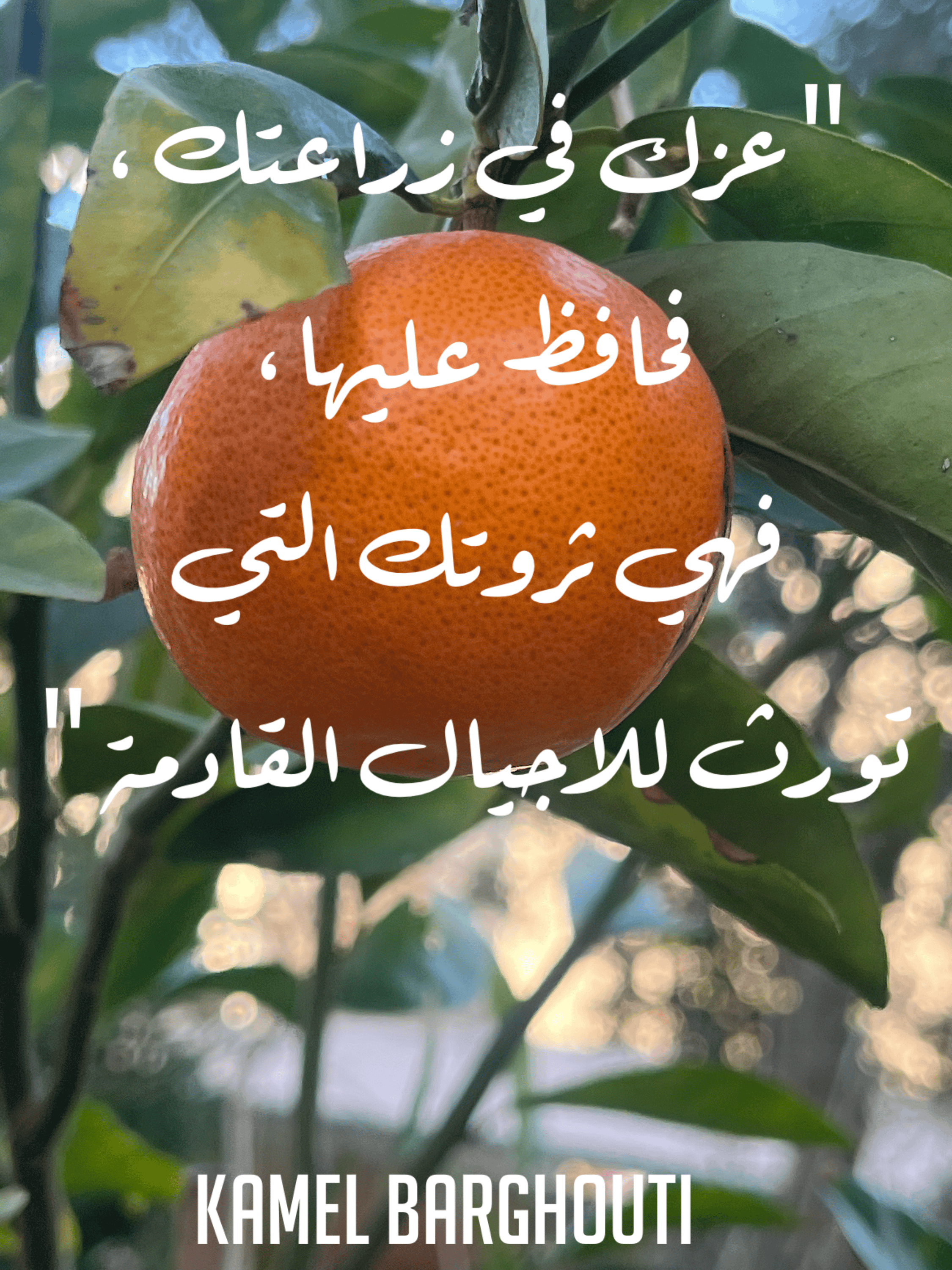 علم وعمل – اقتباس 5