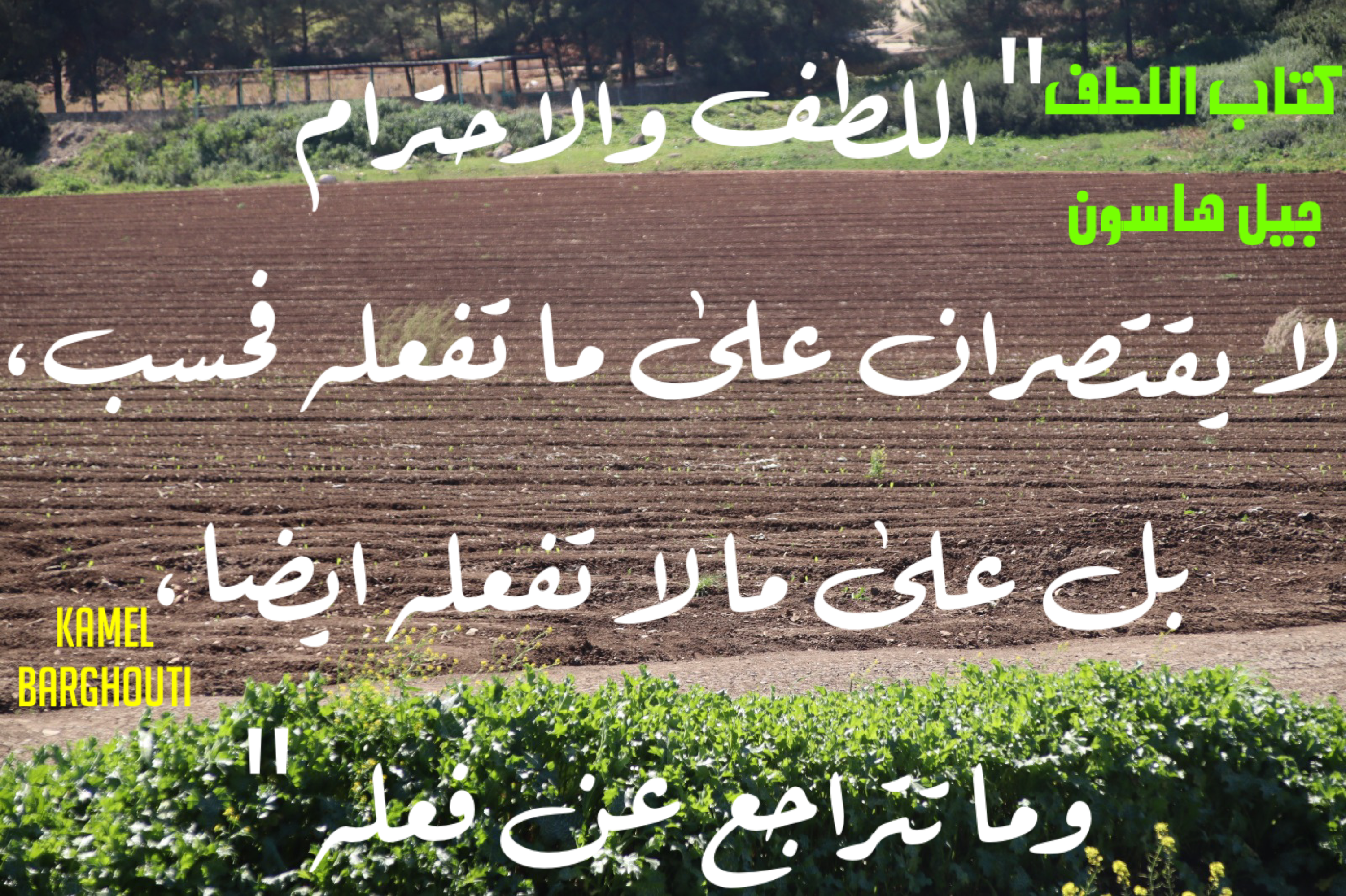 اللطف والاحترام – اقتباس 3