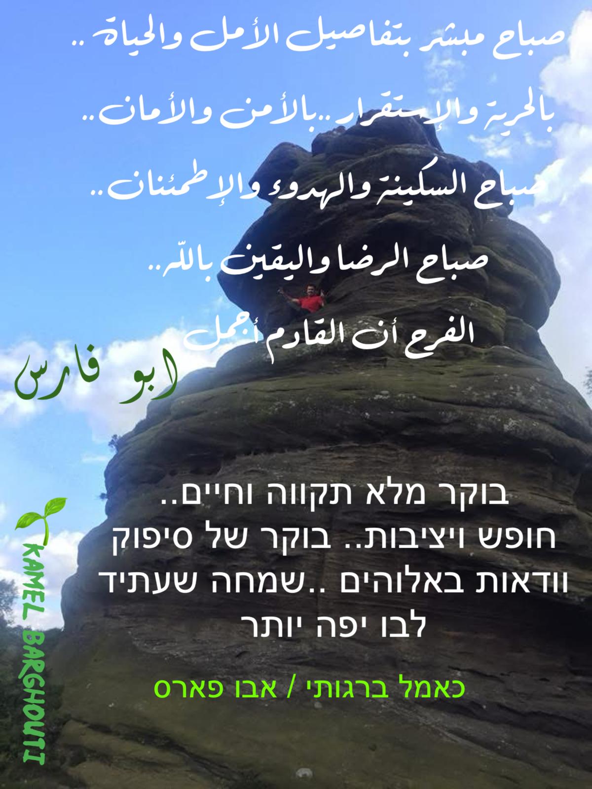 العبرية والأنجليزية – اقتباس 11