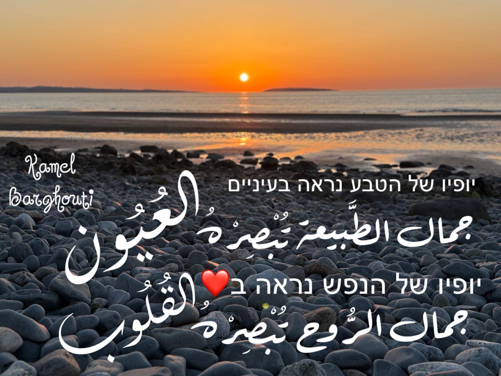 العبرية والأنجليزية – اقتباس 16