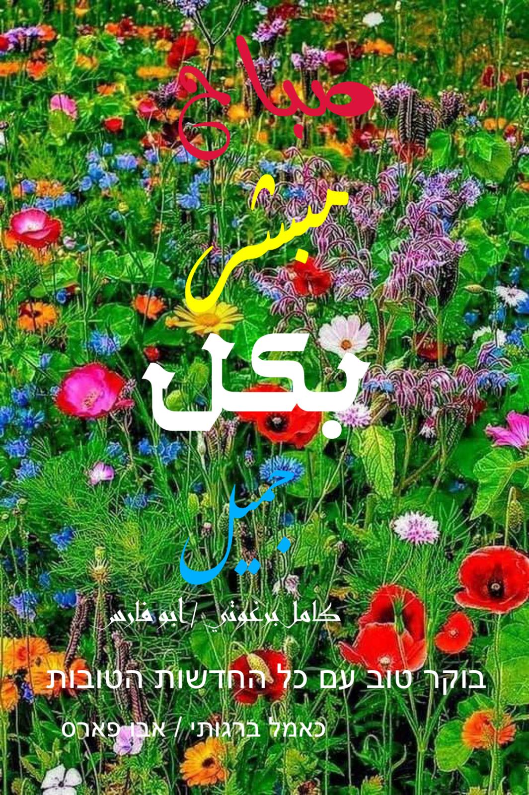 العبرية والأنجليزية – اقتباس 26