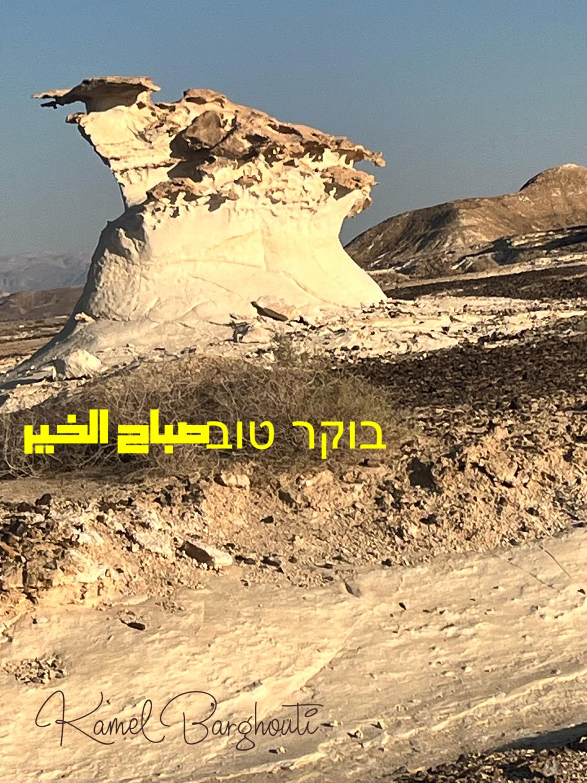 العبرية والأنجليزية – اقتباس 22