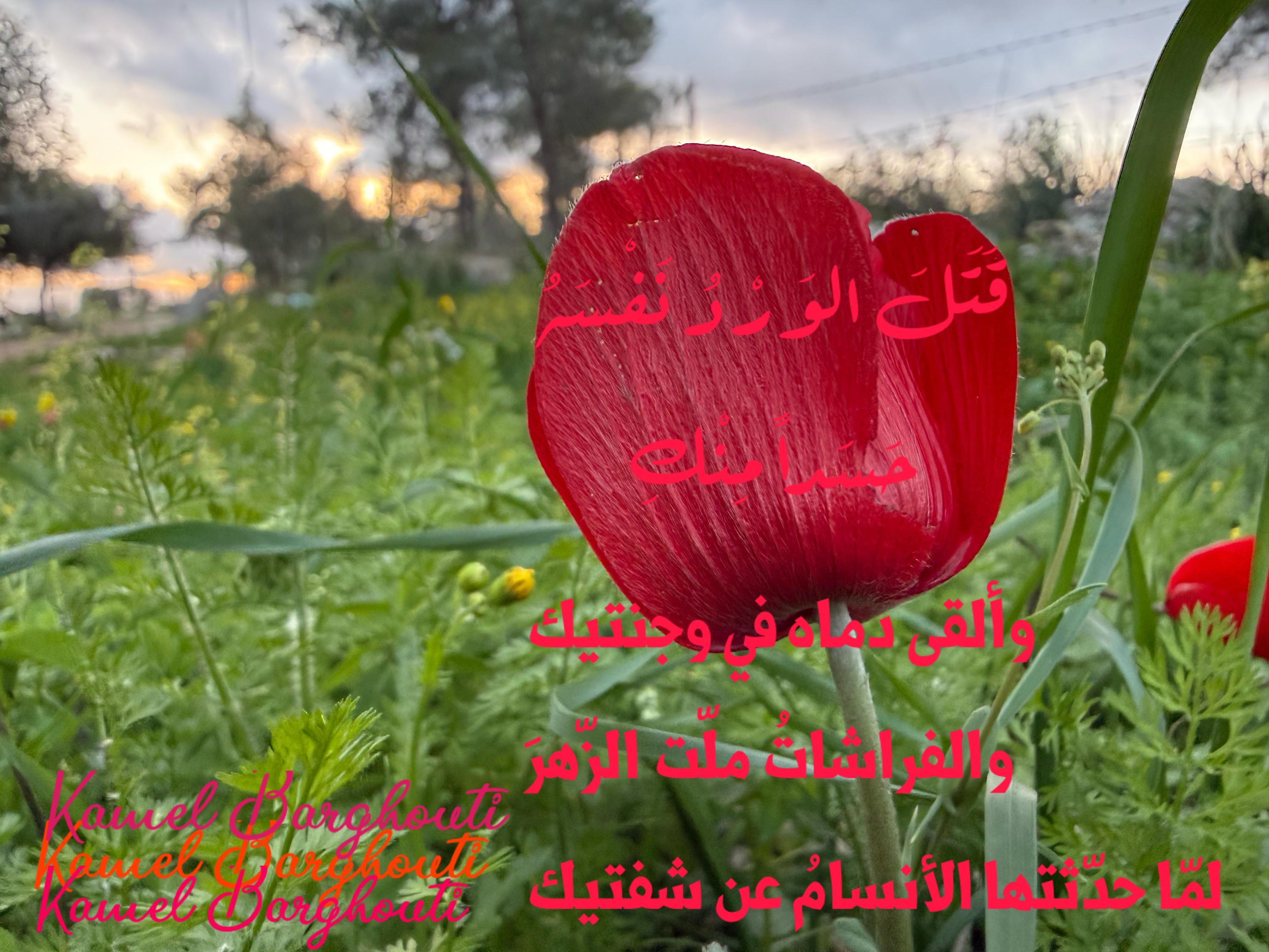 كلام جميل – اقتباس 46