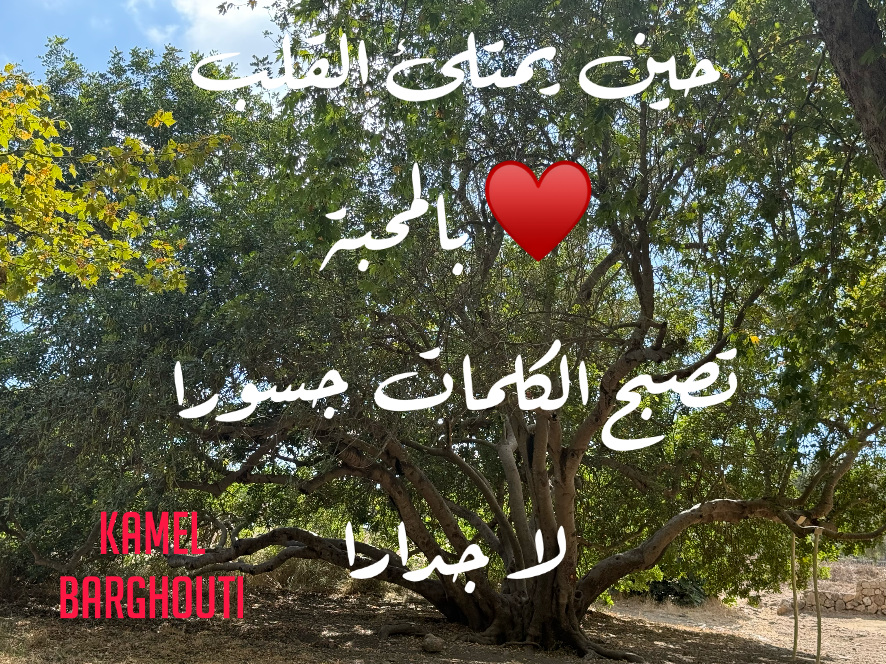 حب وحنين – اقتباس 24
