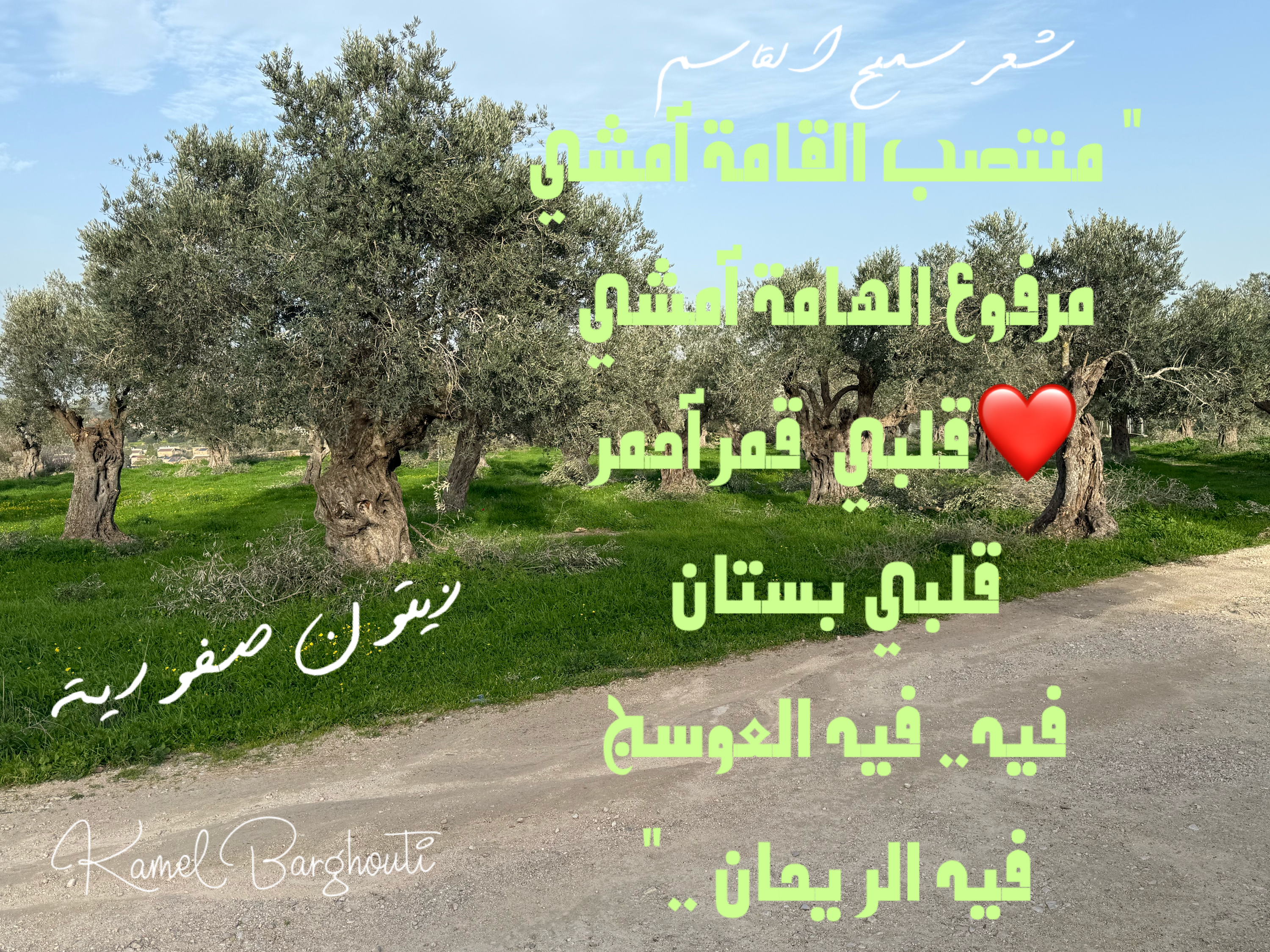 وطن – اقتباس 1