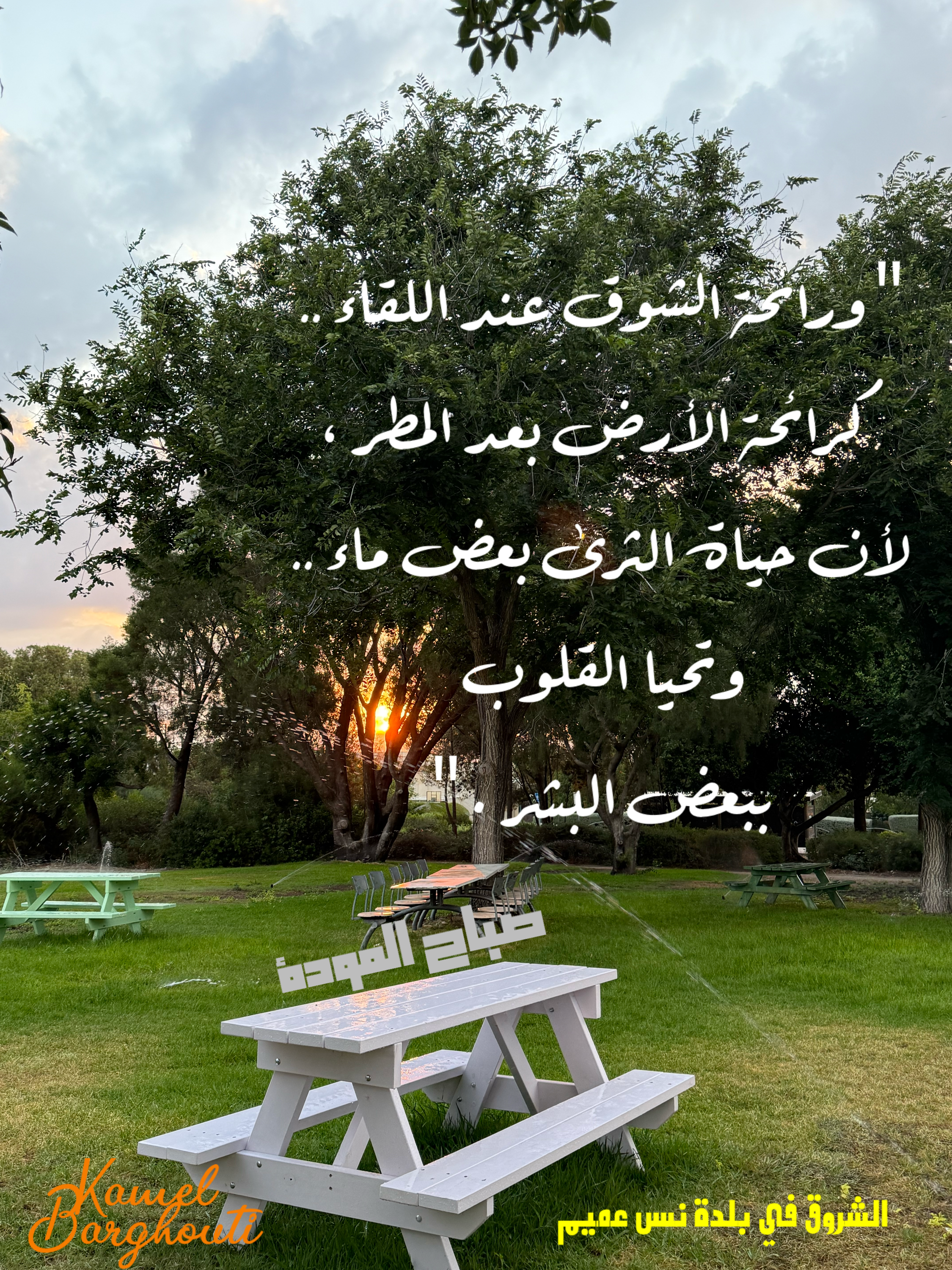 حب وحنين – اقتباس 23