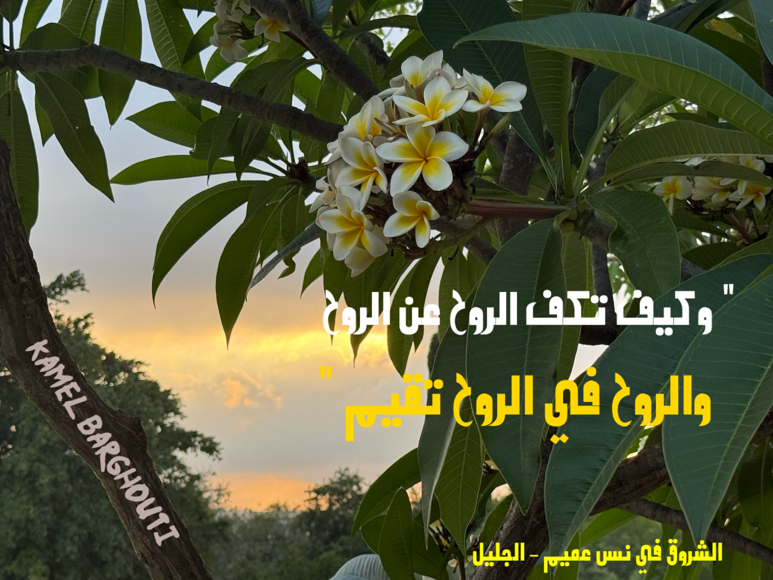 حب وحنين – اقتباس 21