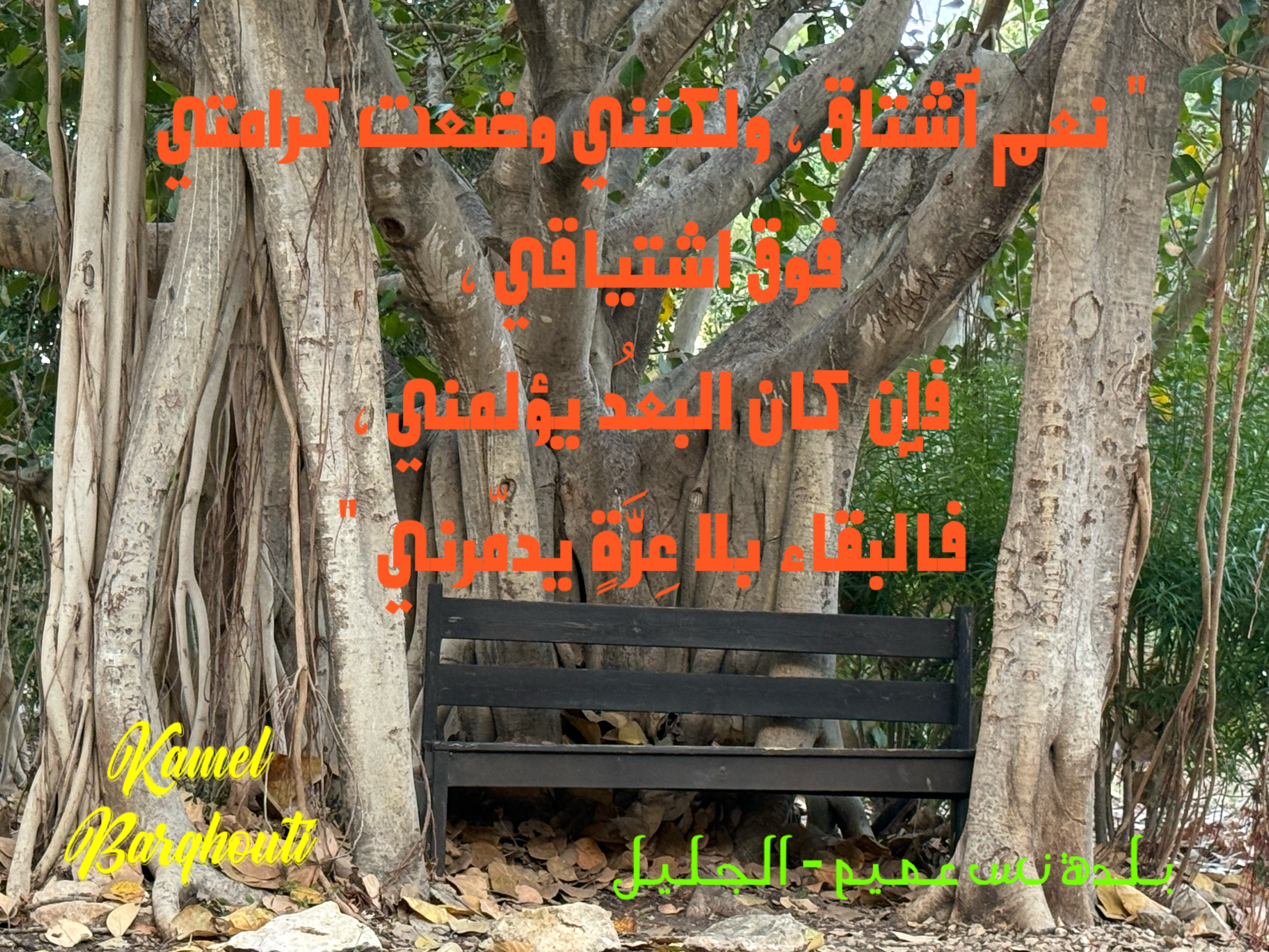 عزة النفس – اقتباس 1