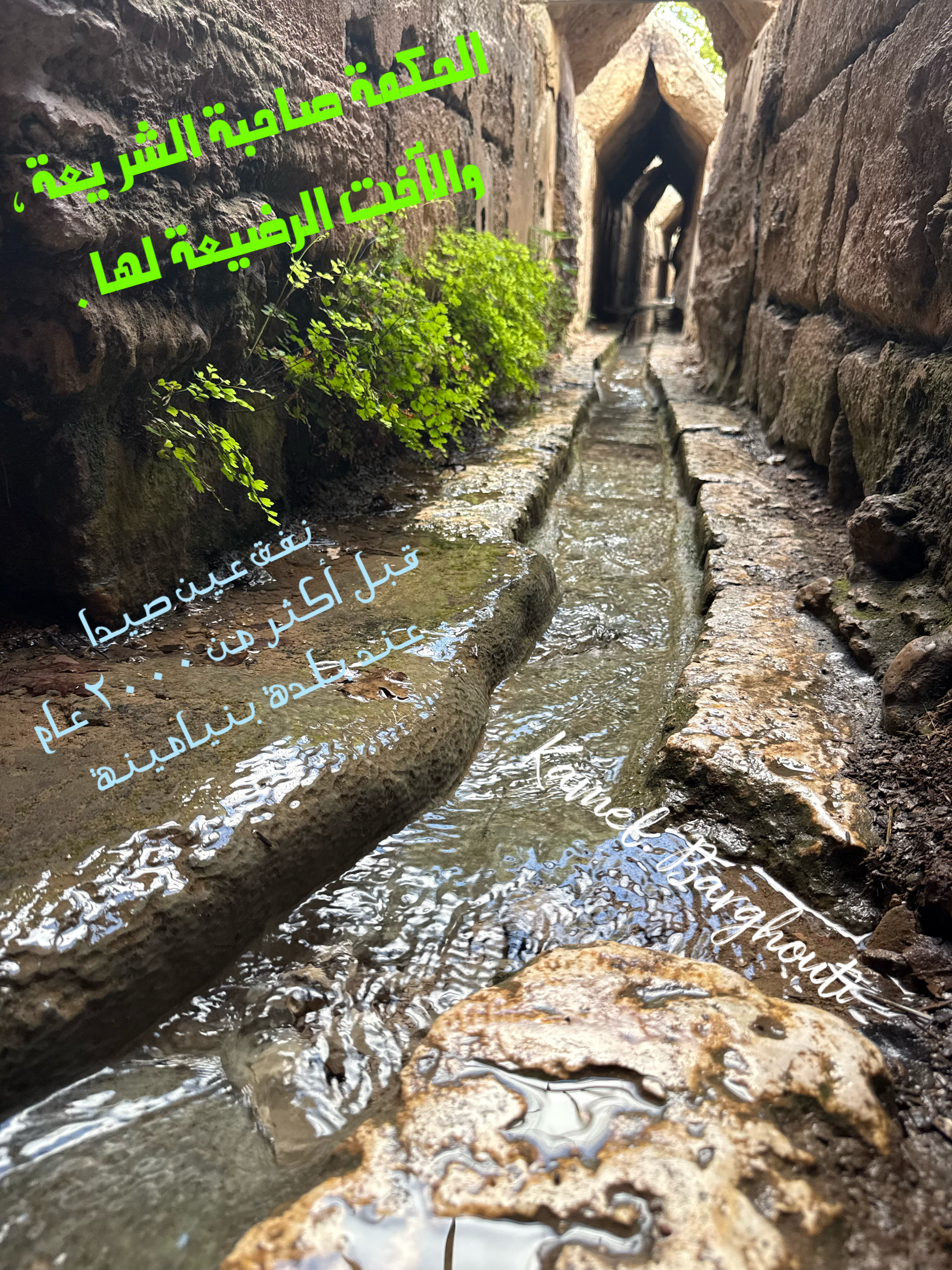 حكمة – اقتباس 71