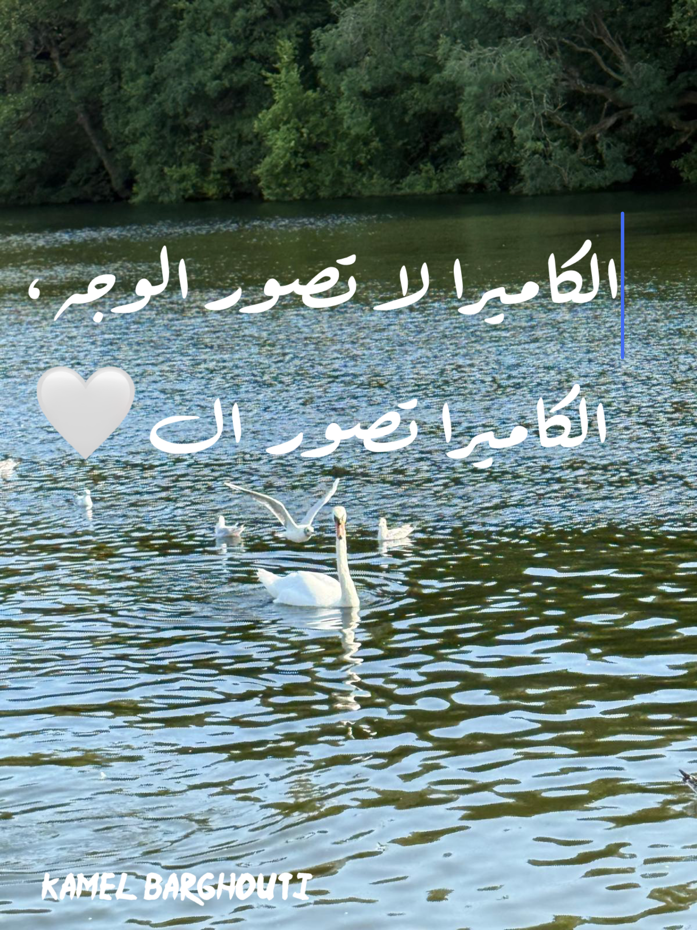 حكمة – اقتباس 66