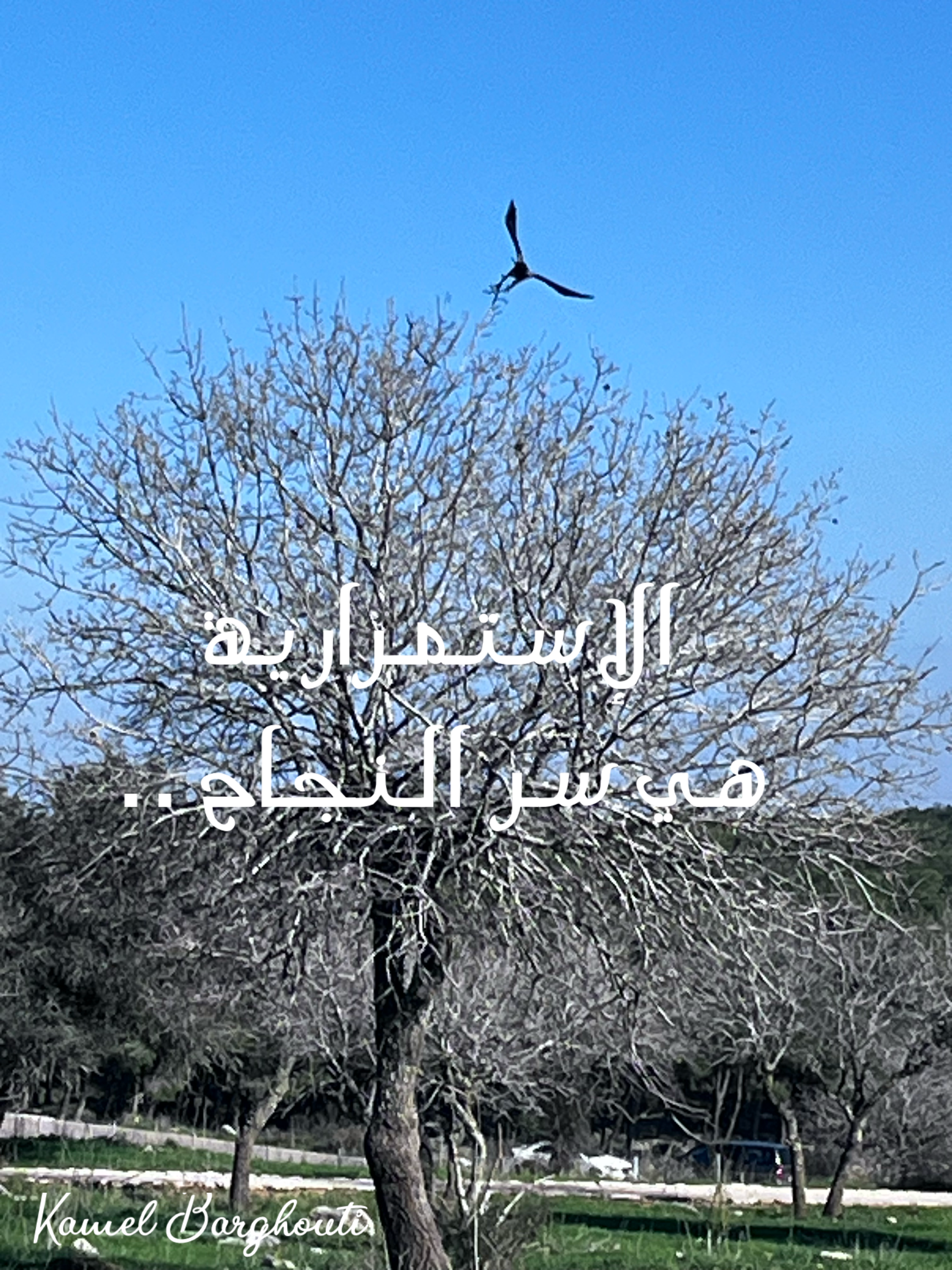 حكمة – اقتباس 65