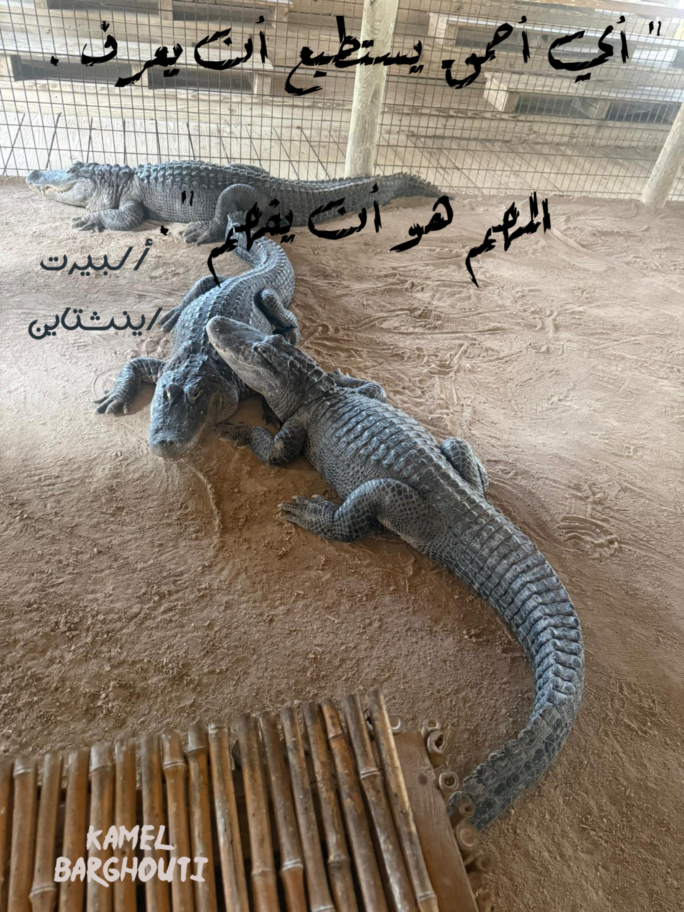 حكمة – اقتباس 59