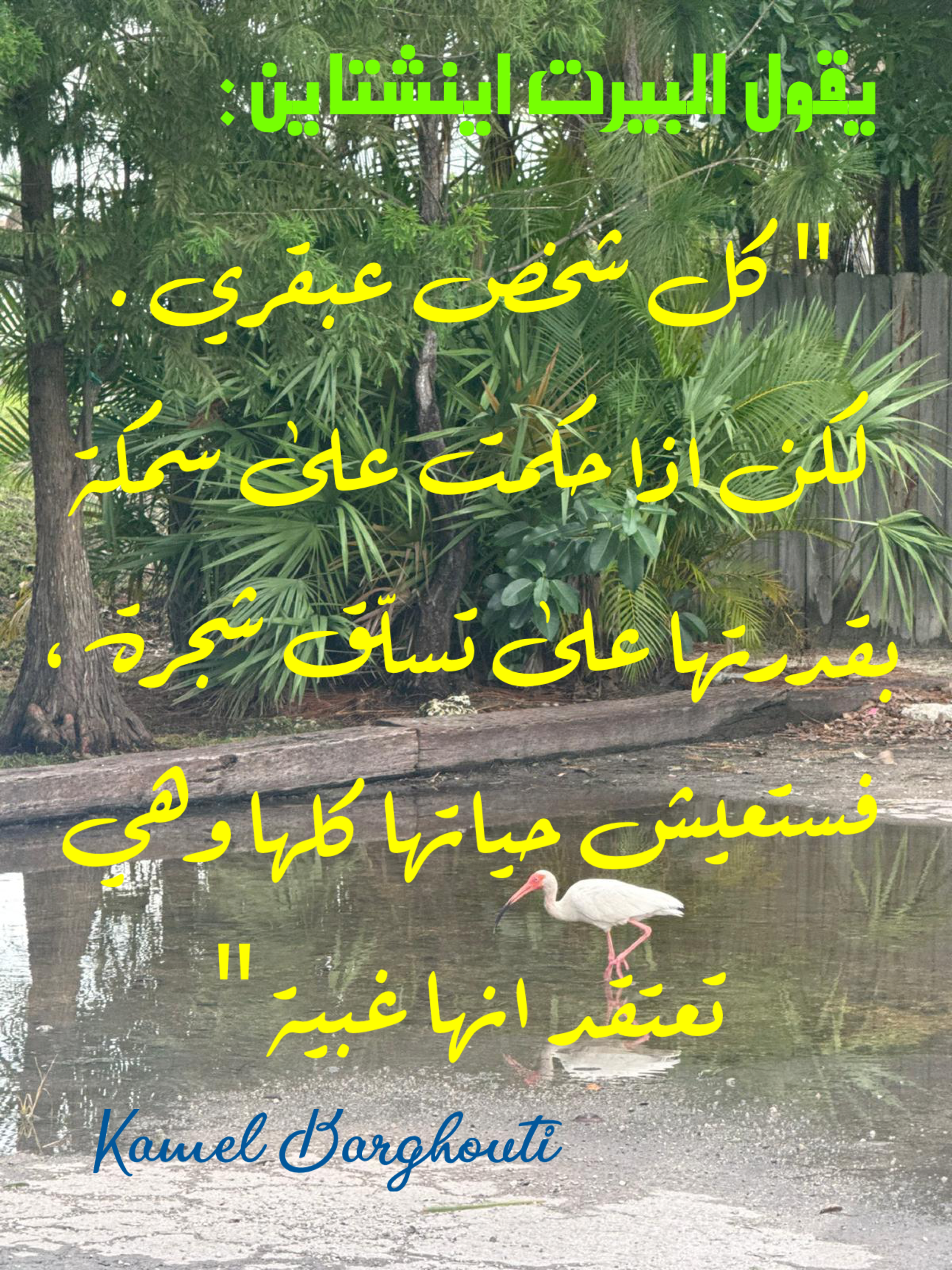 حكمة – اقتباس 58