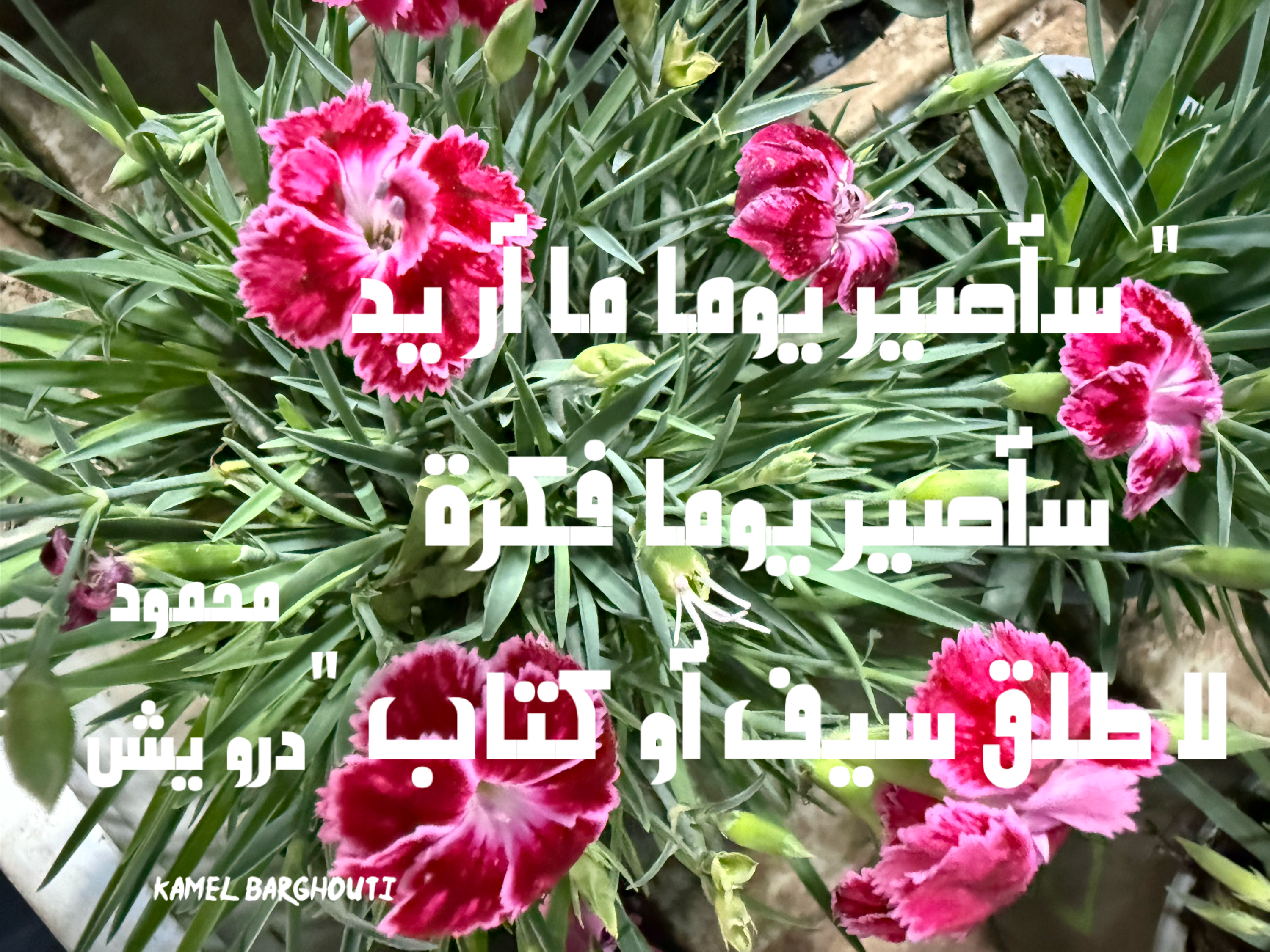 العزيمة والإصرار والثقة بالنفس – اقتباس 6