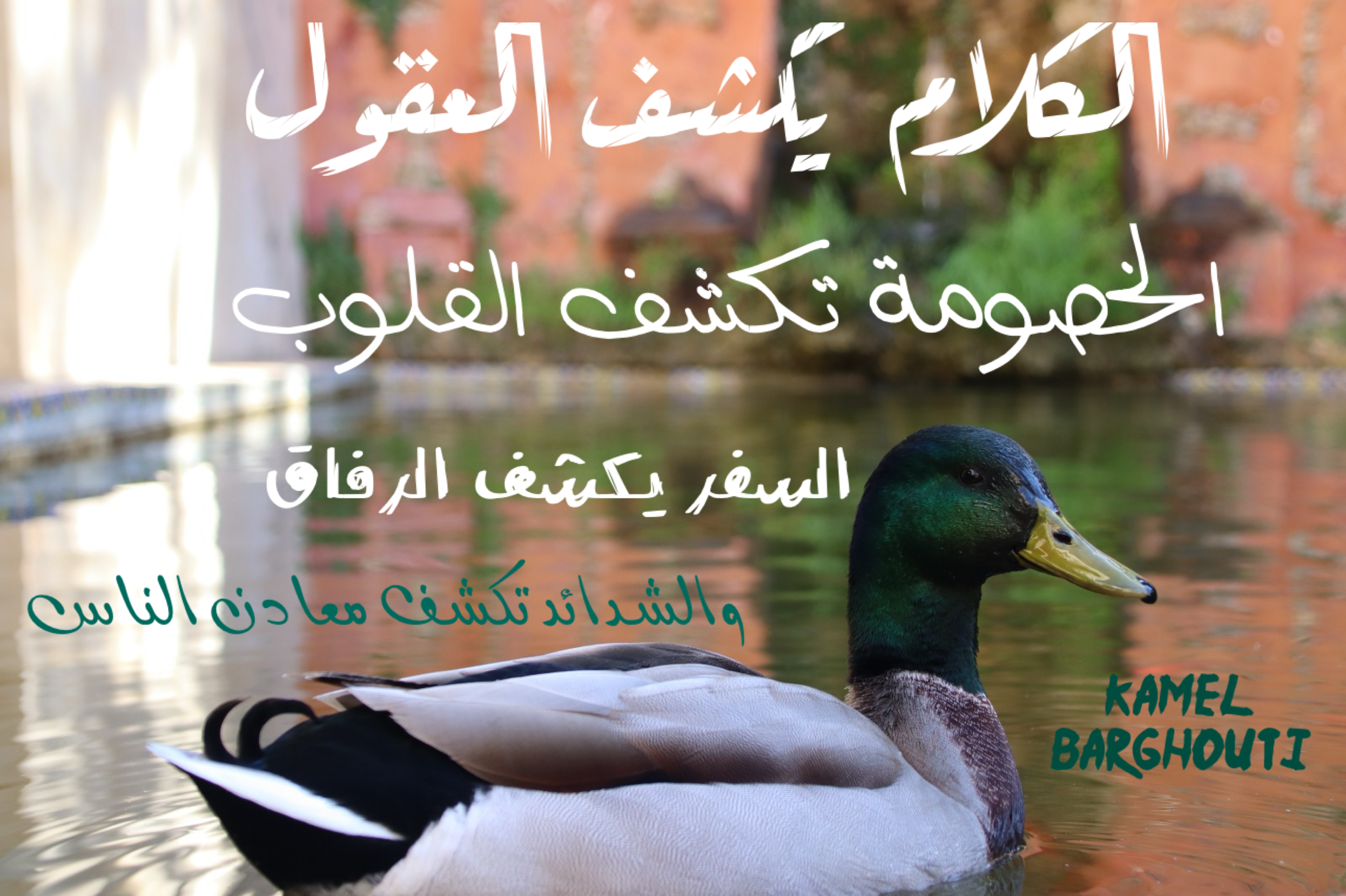 كلام جميل – اقتباس 37