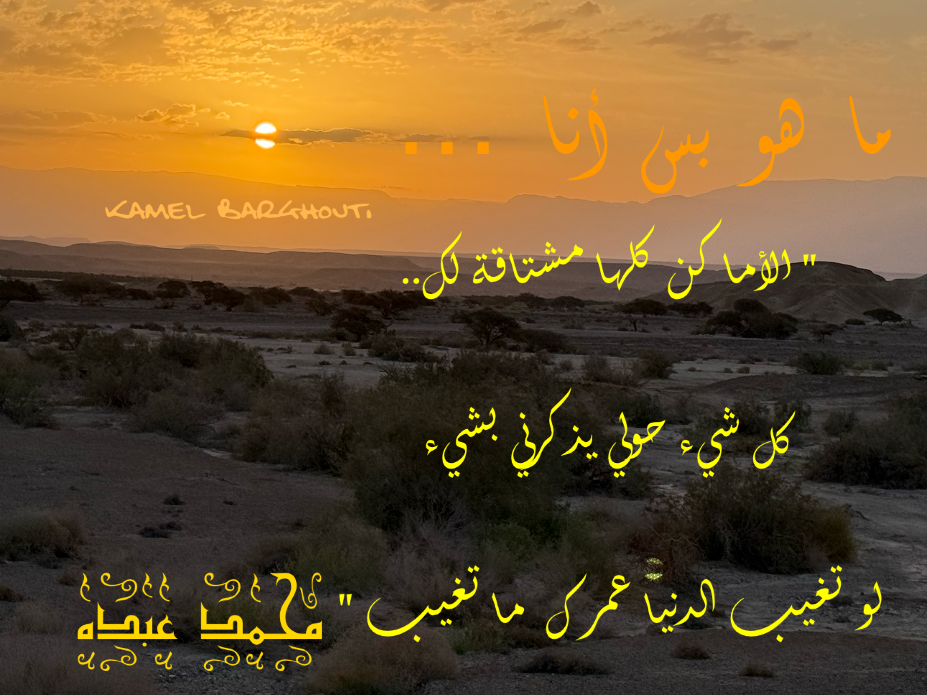 حب وحنين – اقتباس 18