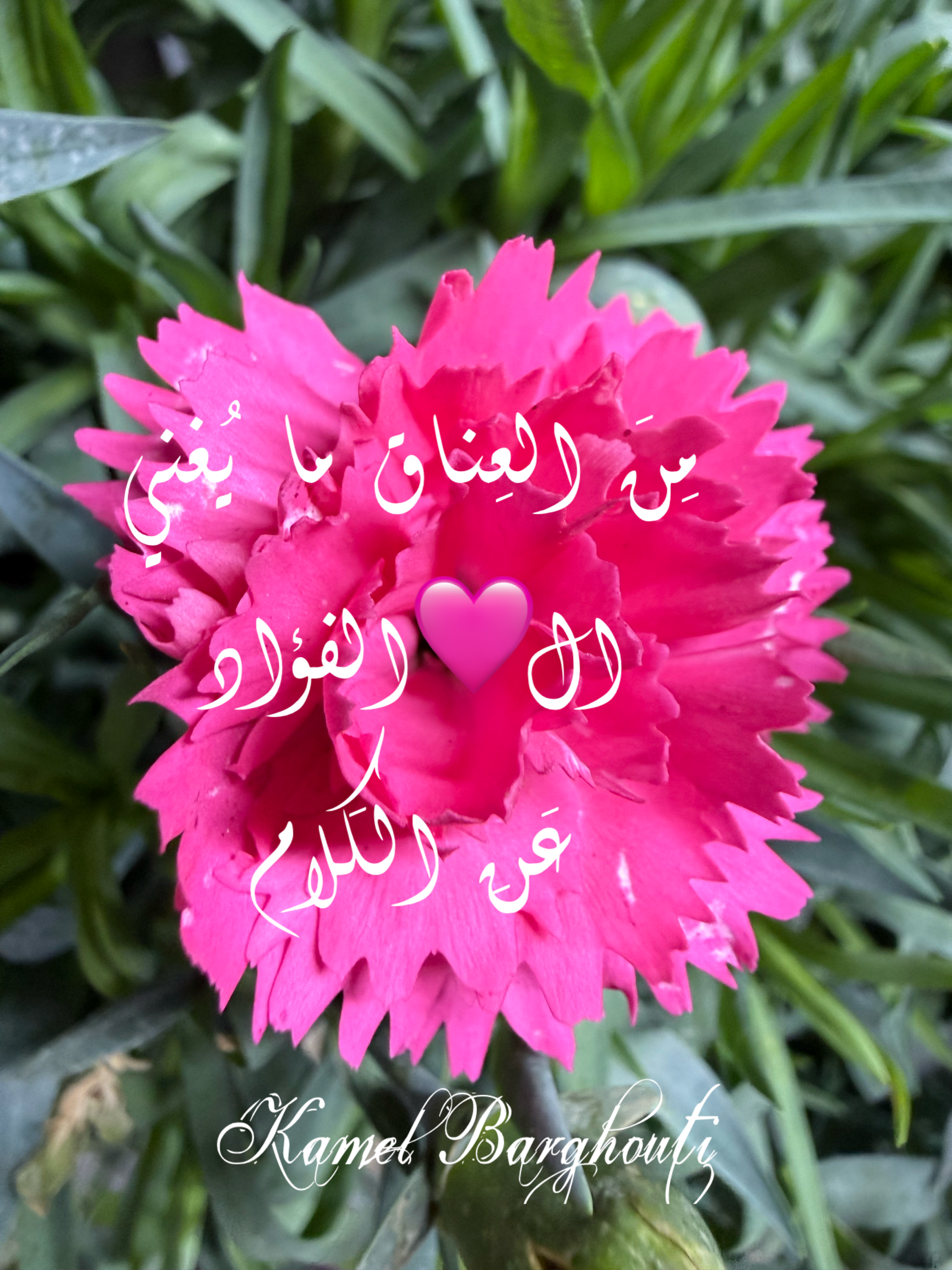 كلام جميل – اقتباس 33