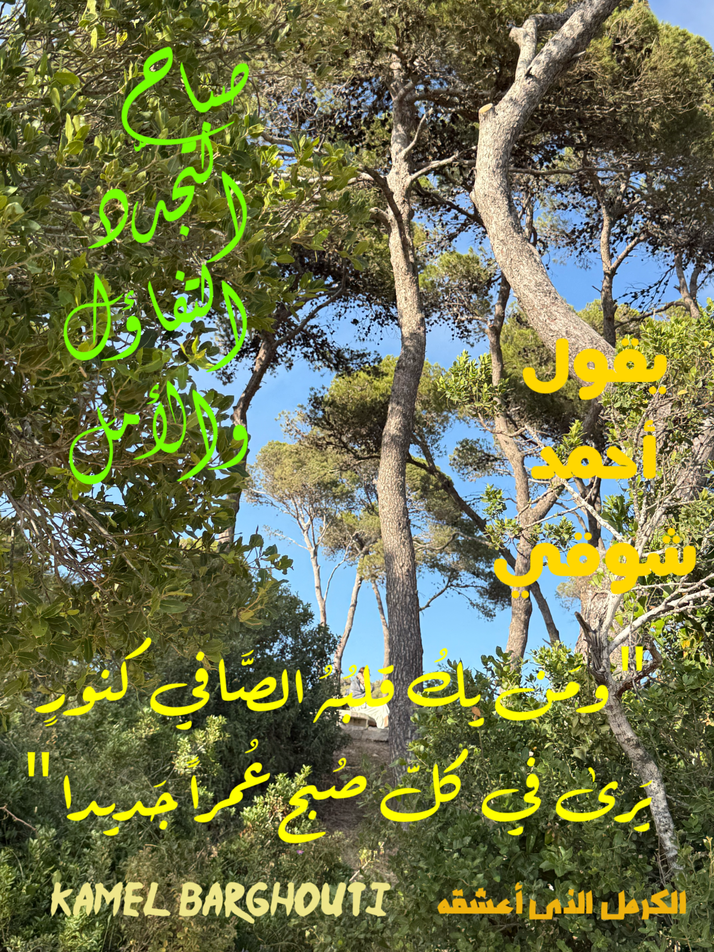 صباح الخير – اقتباس 7