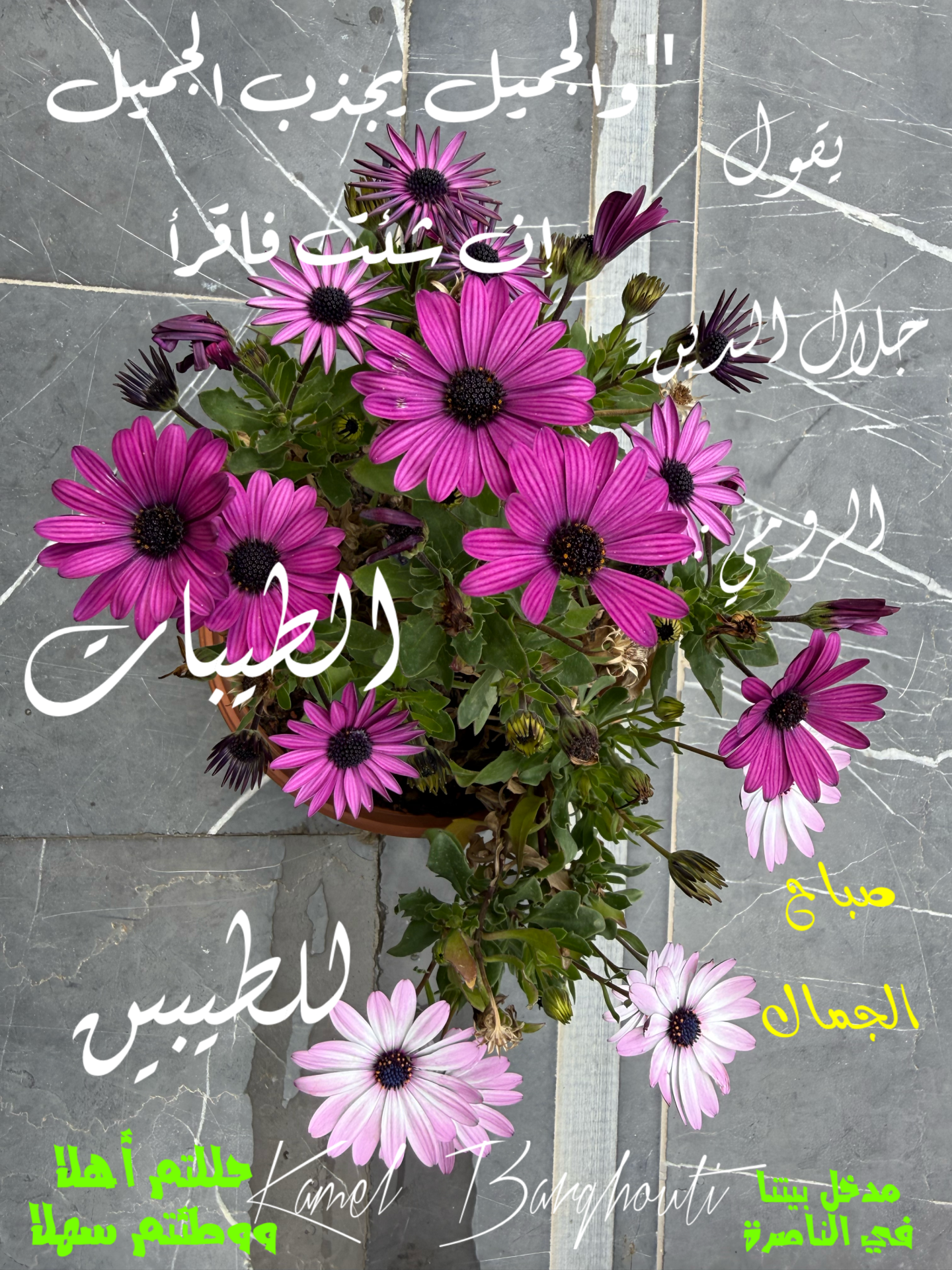 صباح الخير – اقتباس 8
