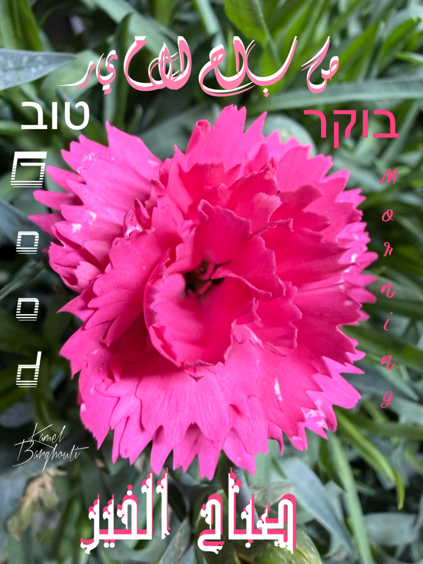 العبرية والأنجليزية – اقتباس 1
