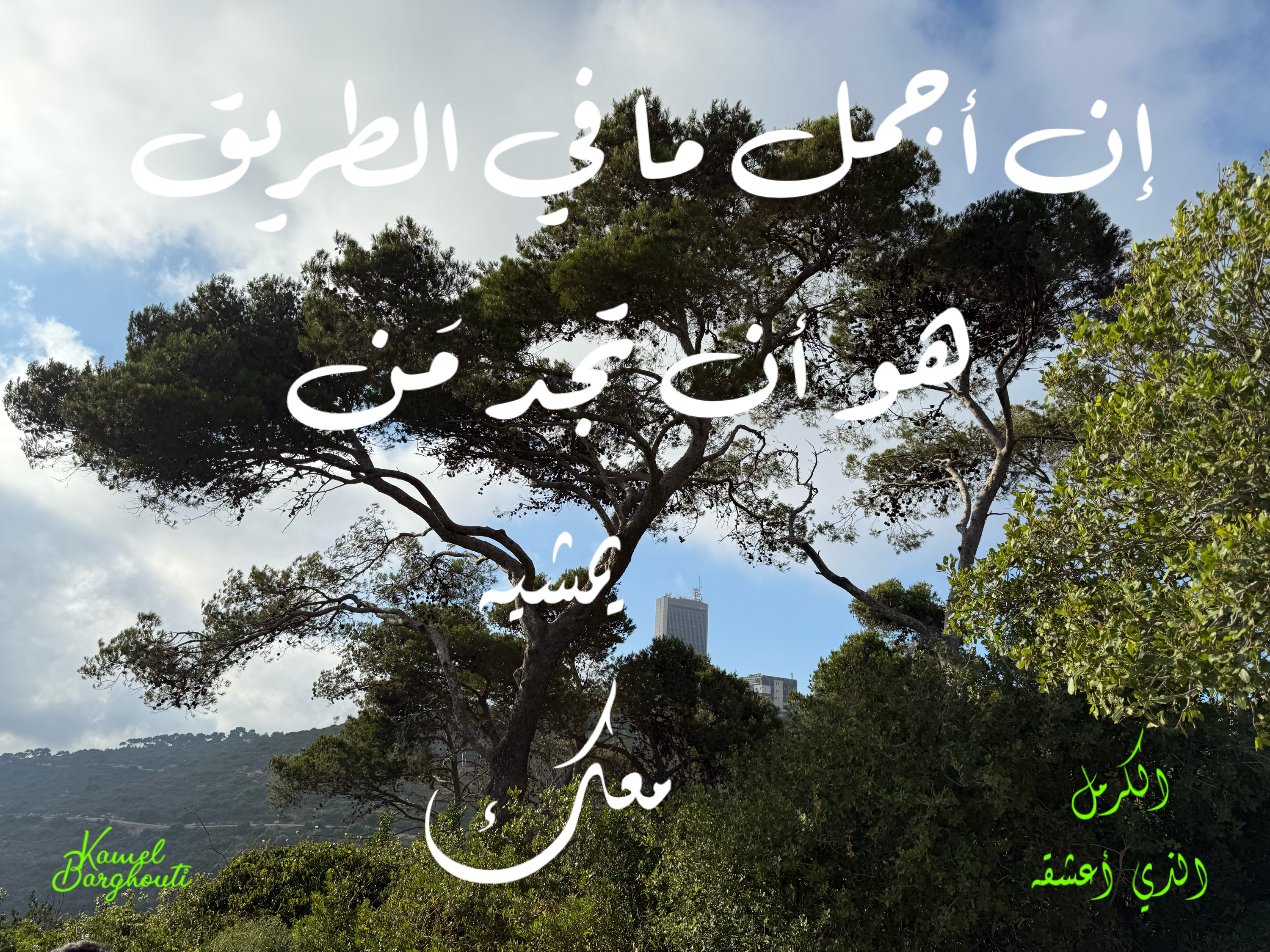 Beautiful Talk – quote 34
