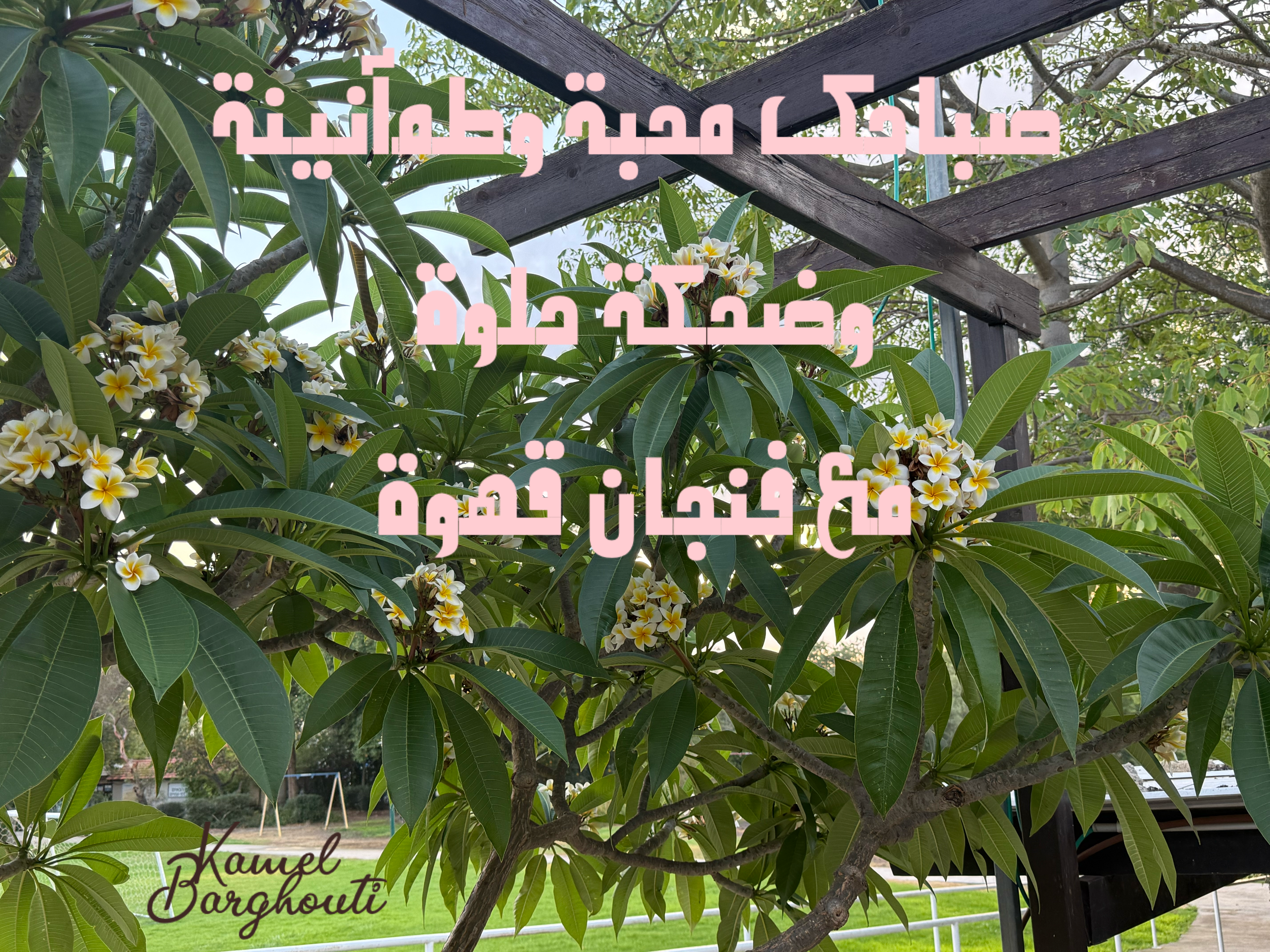 Beautiful Talk – quote 35