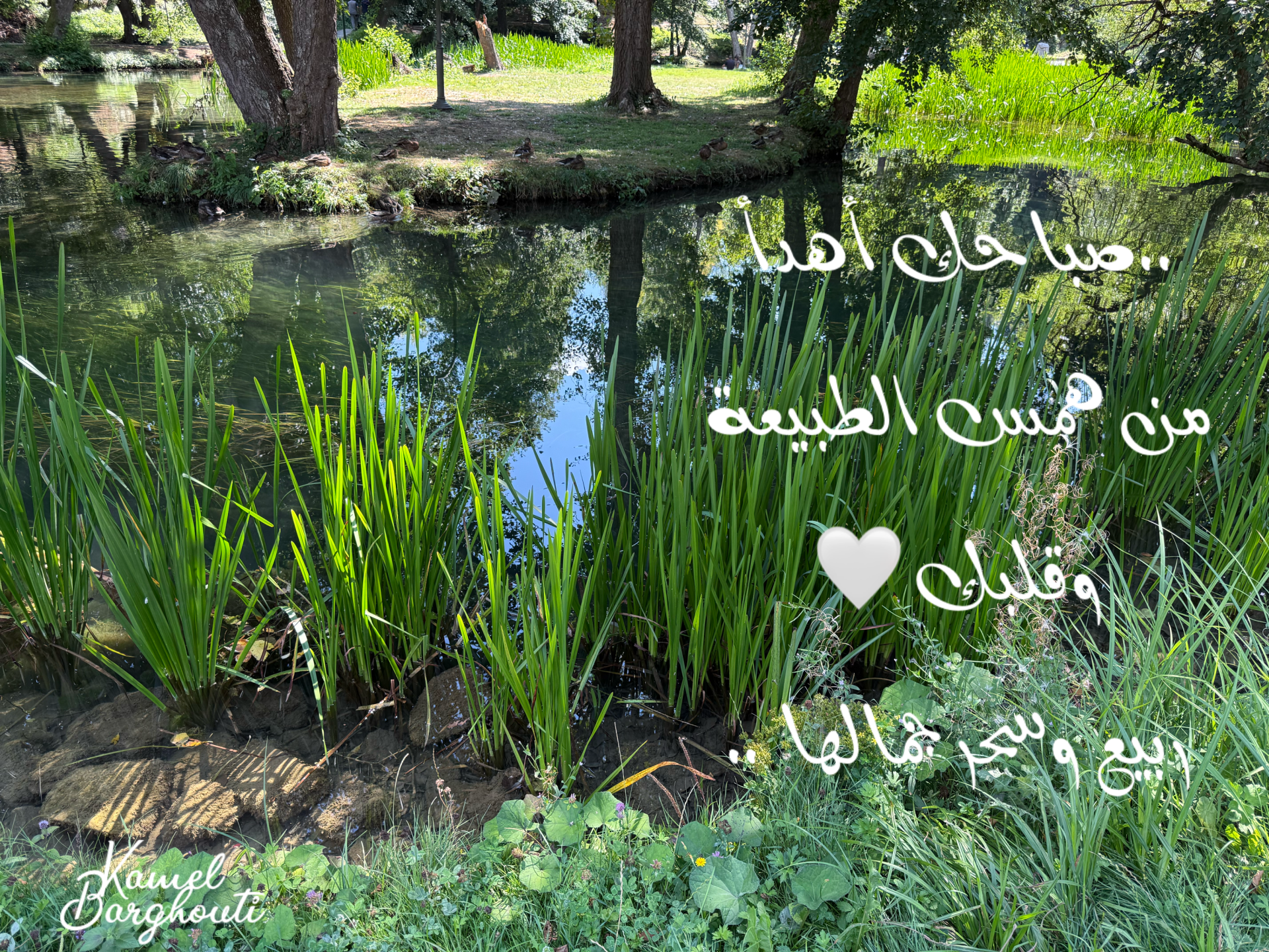 صباح الخير – اقتباس 3