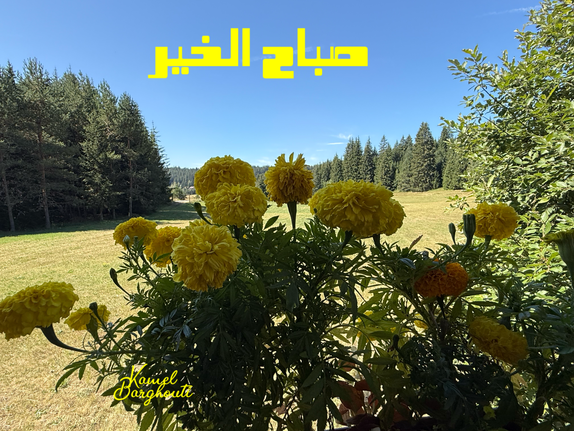صباح الخير – اقتباس 1