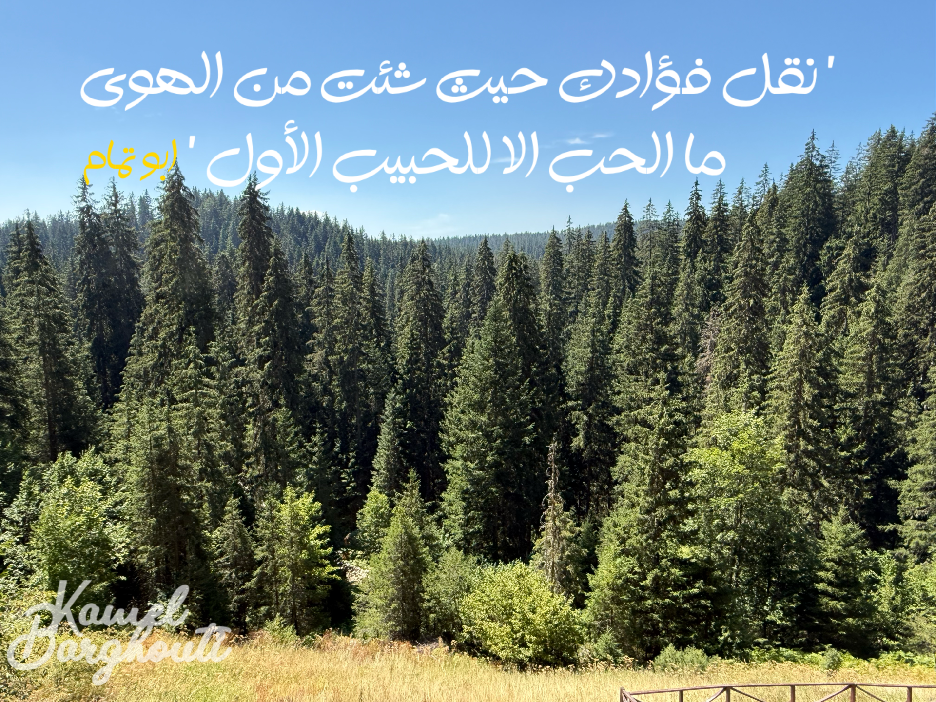 كلام جميل – اقتباس 1
