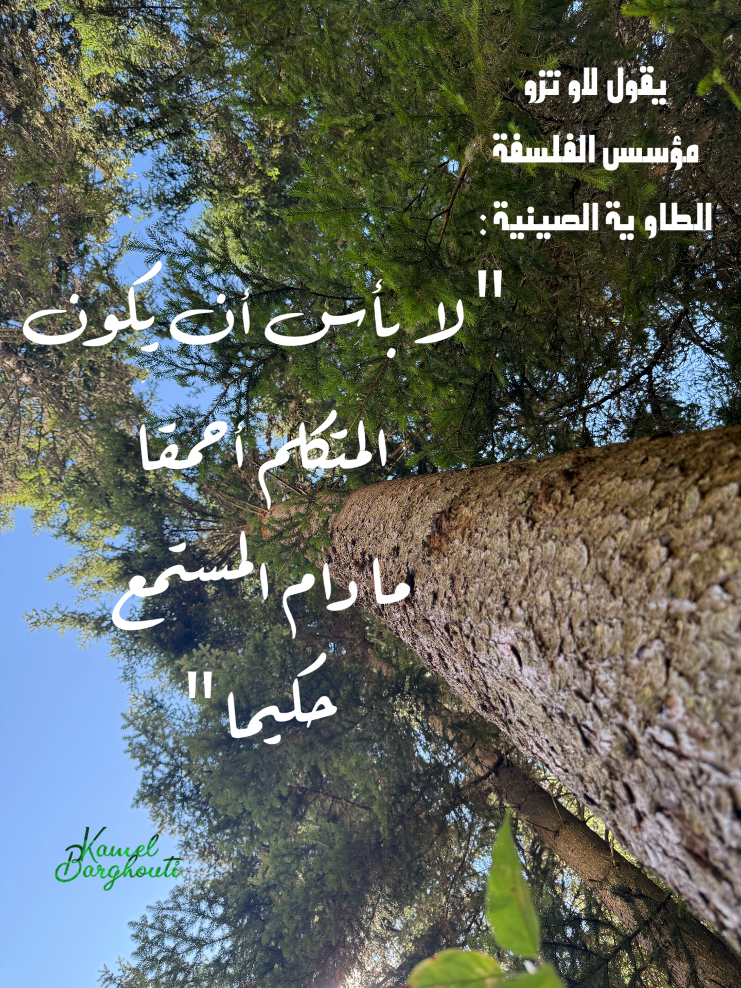 العزلة، الصمت، والتأمل – اقتباس 11