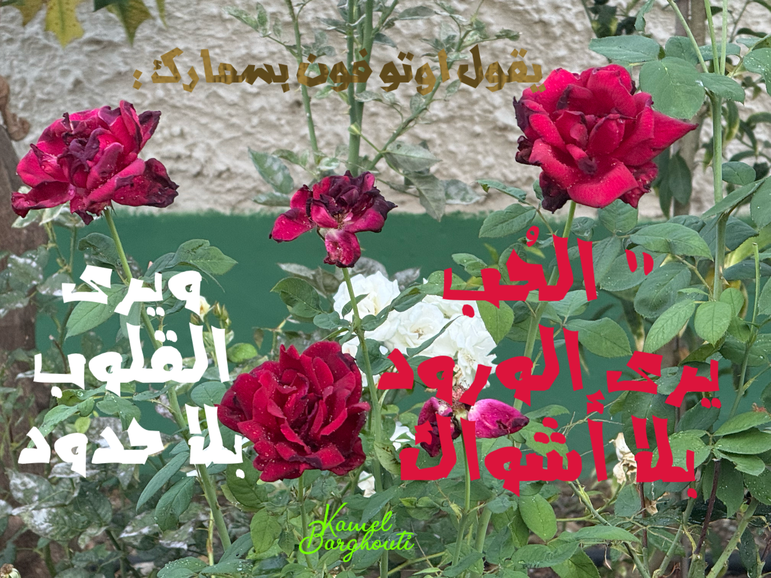 حب وحنين – اقتباس 36