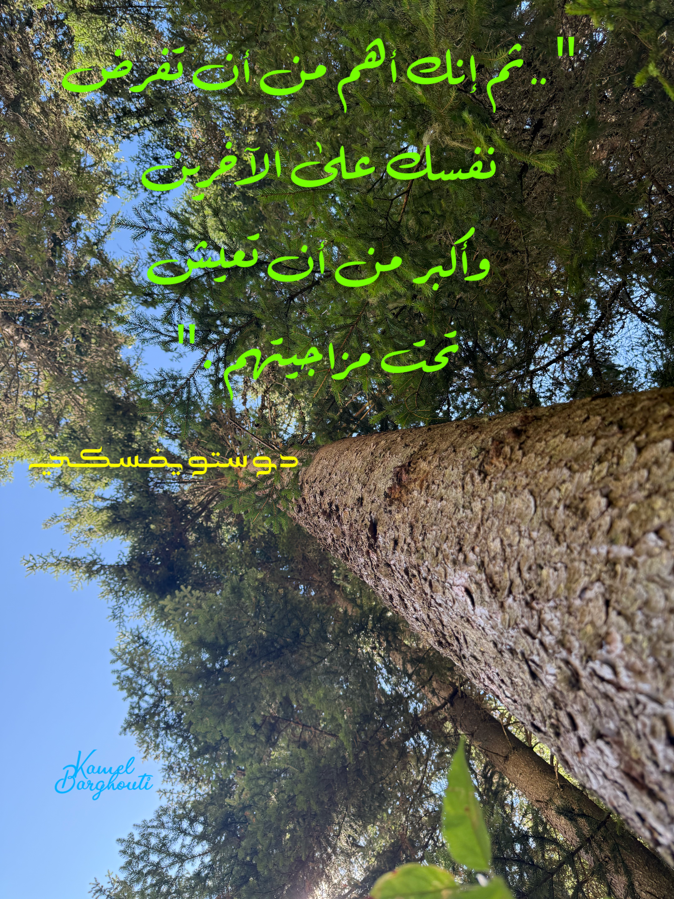 Determination, Persistence and Self-confidence – quote 2